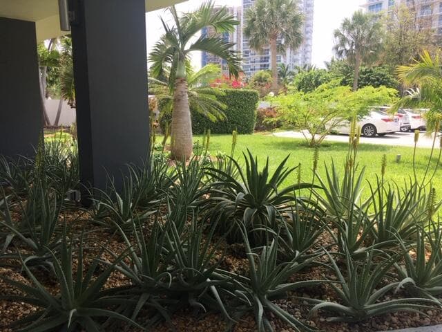 2840 N Ocean Boulevard 507, Fort Lauderdale, FL 33308 — photo 27 of 40