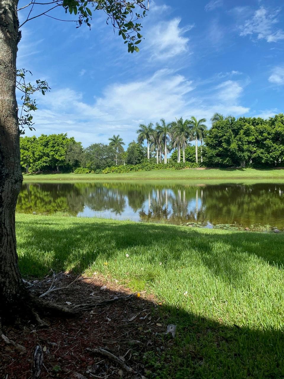 2253 Salerno Circle 2253, Weston, FL 33327 — photo 3 of 14