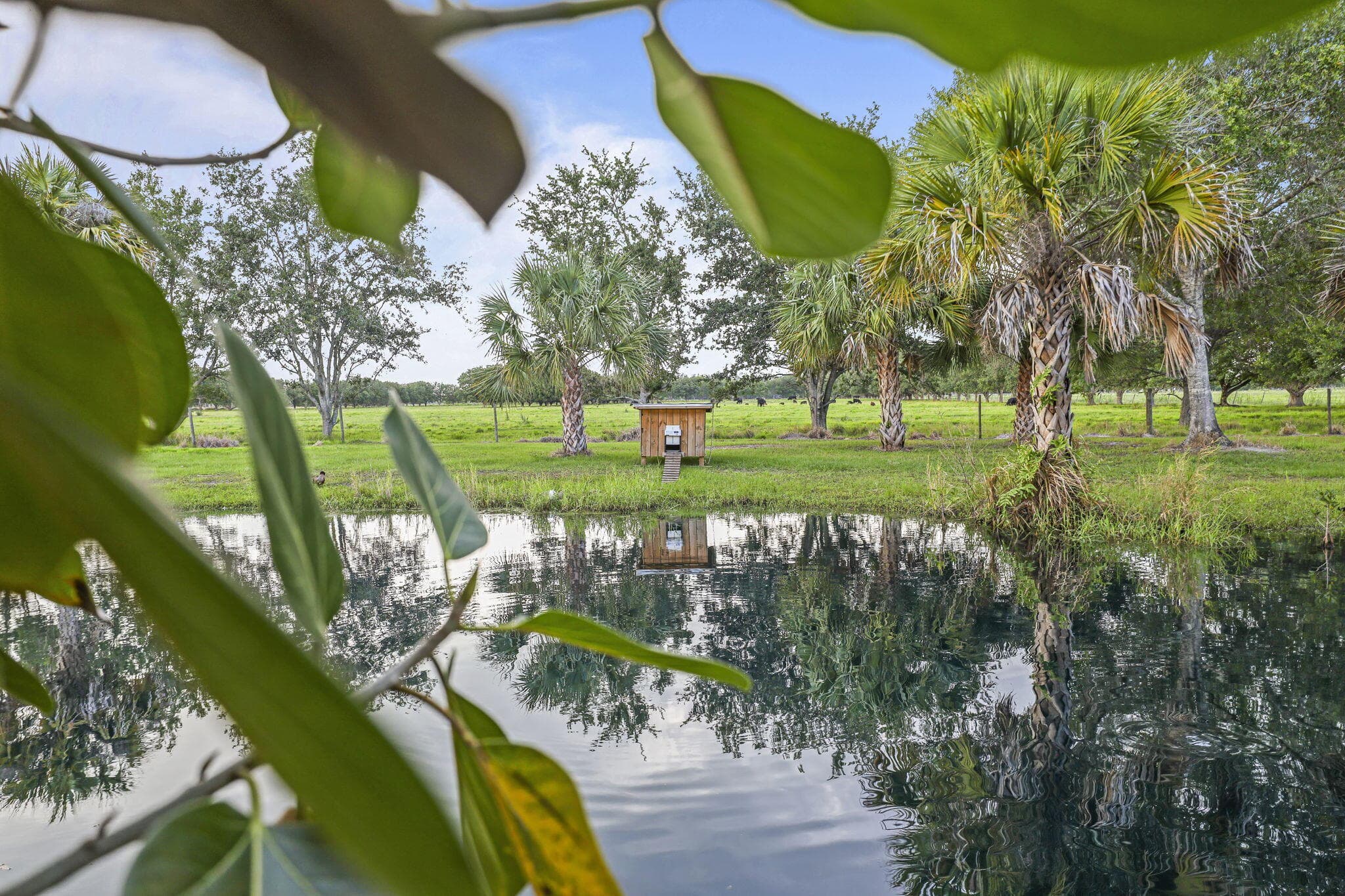 5250 21st Street SW, Vero Beach, FL 32968 — photo 49 of 60