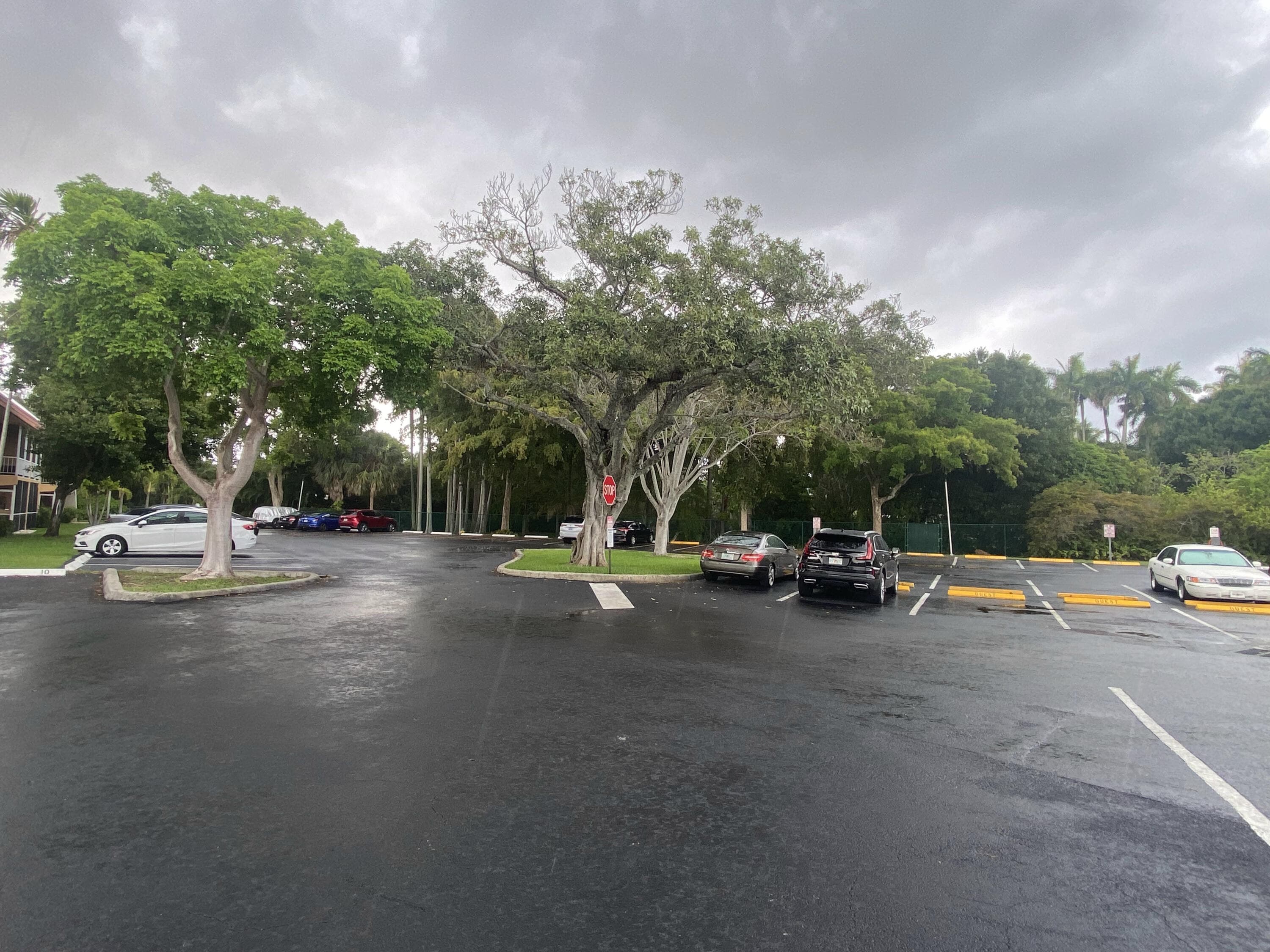 351 NE 19th Place 217k, Wilton Manors, FL 33305 — photo 18 of 18