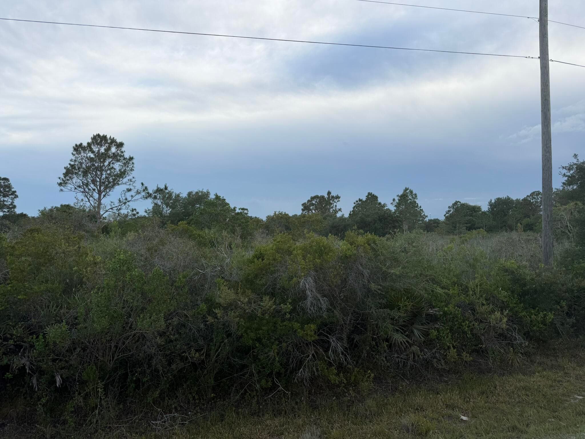 15840 NW 298th Street, Okeechobee, FL 34972 — photo 2 of 3
