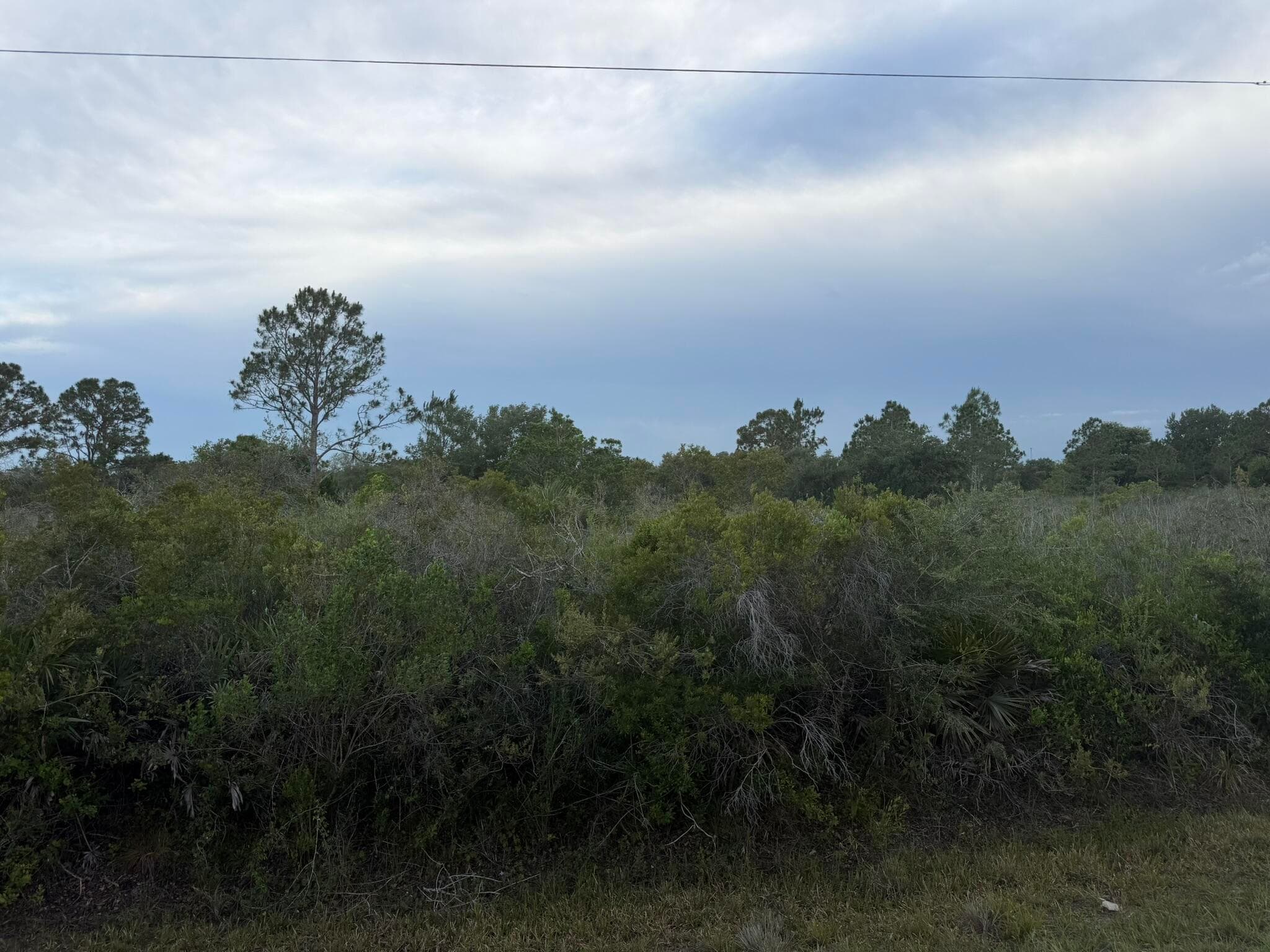 15840 NW 298th Street, Okeechobee, FL 34972 — photo 3 of 3