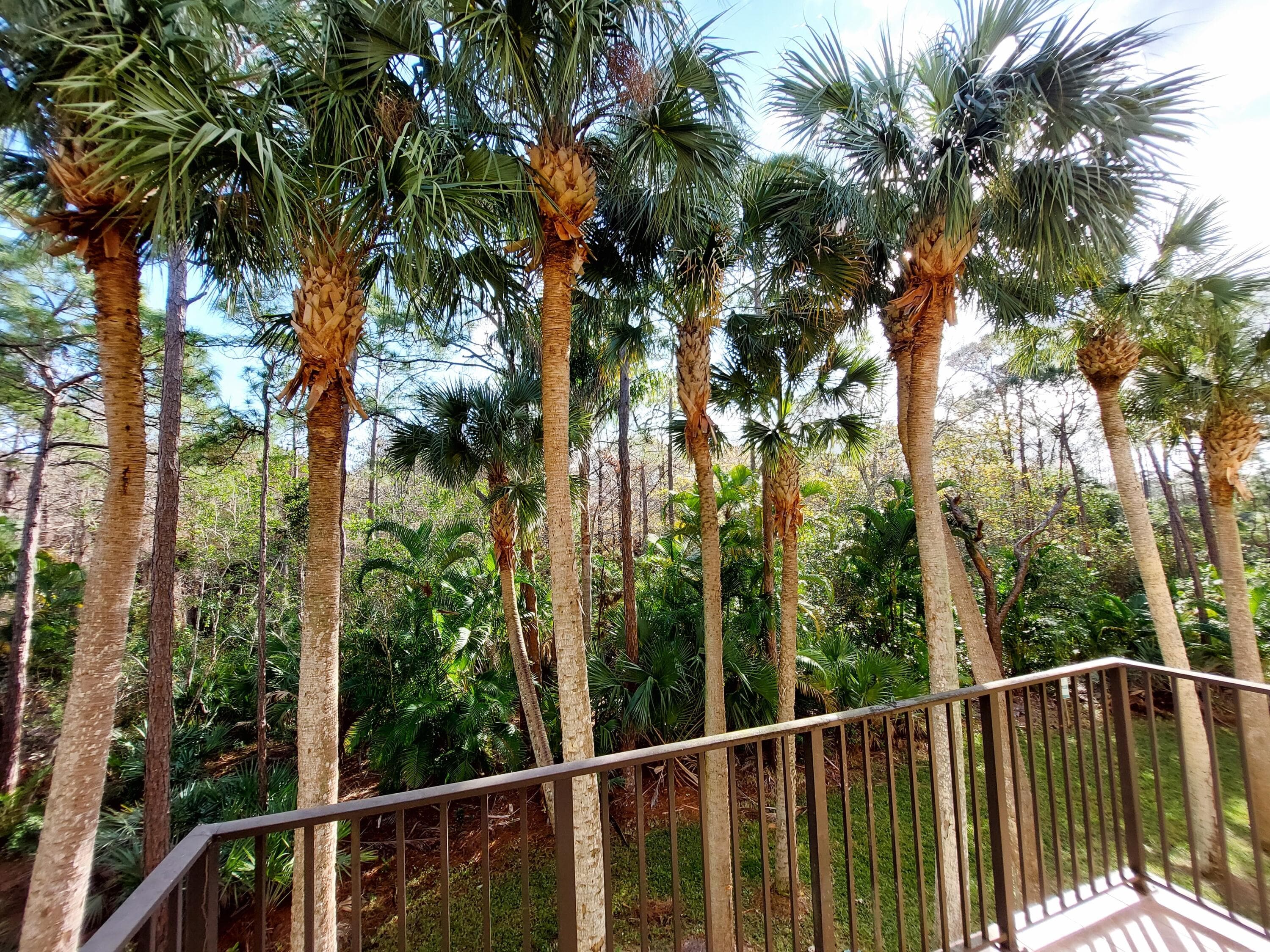 12675 SE Old Cypress Drive 903, Hobe Sound, FL 33455 — photo 13 of 48