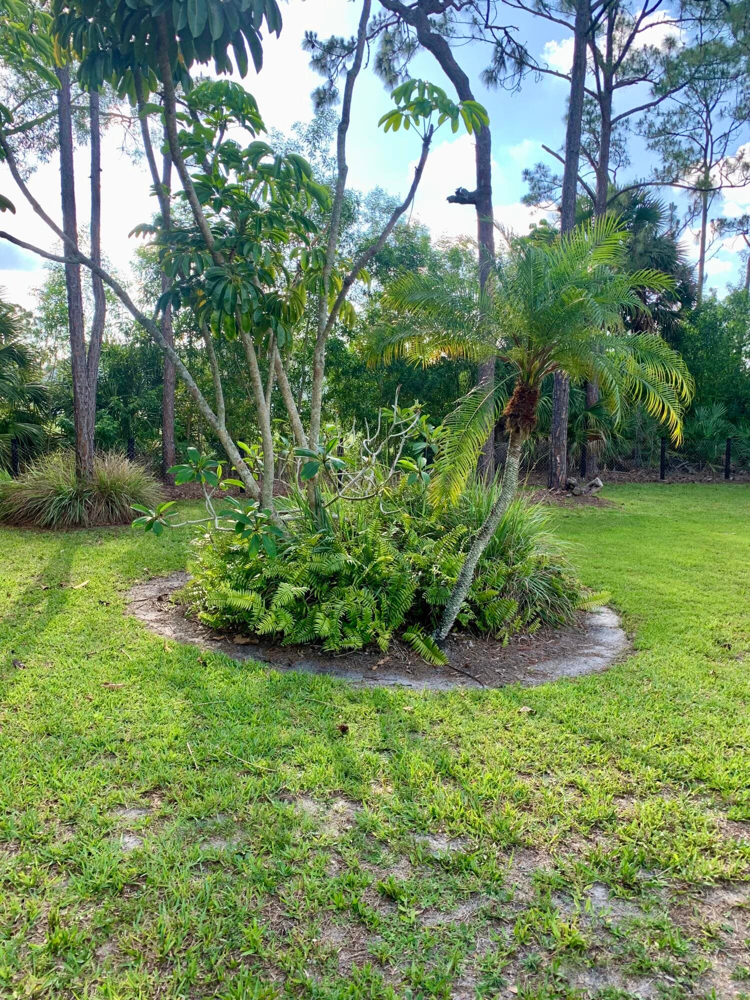 12920 N 75th Ln Lane N, The Acreage, FL 33412 — photo 41 of 46
