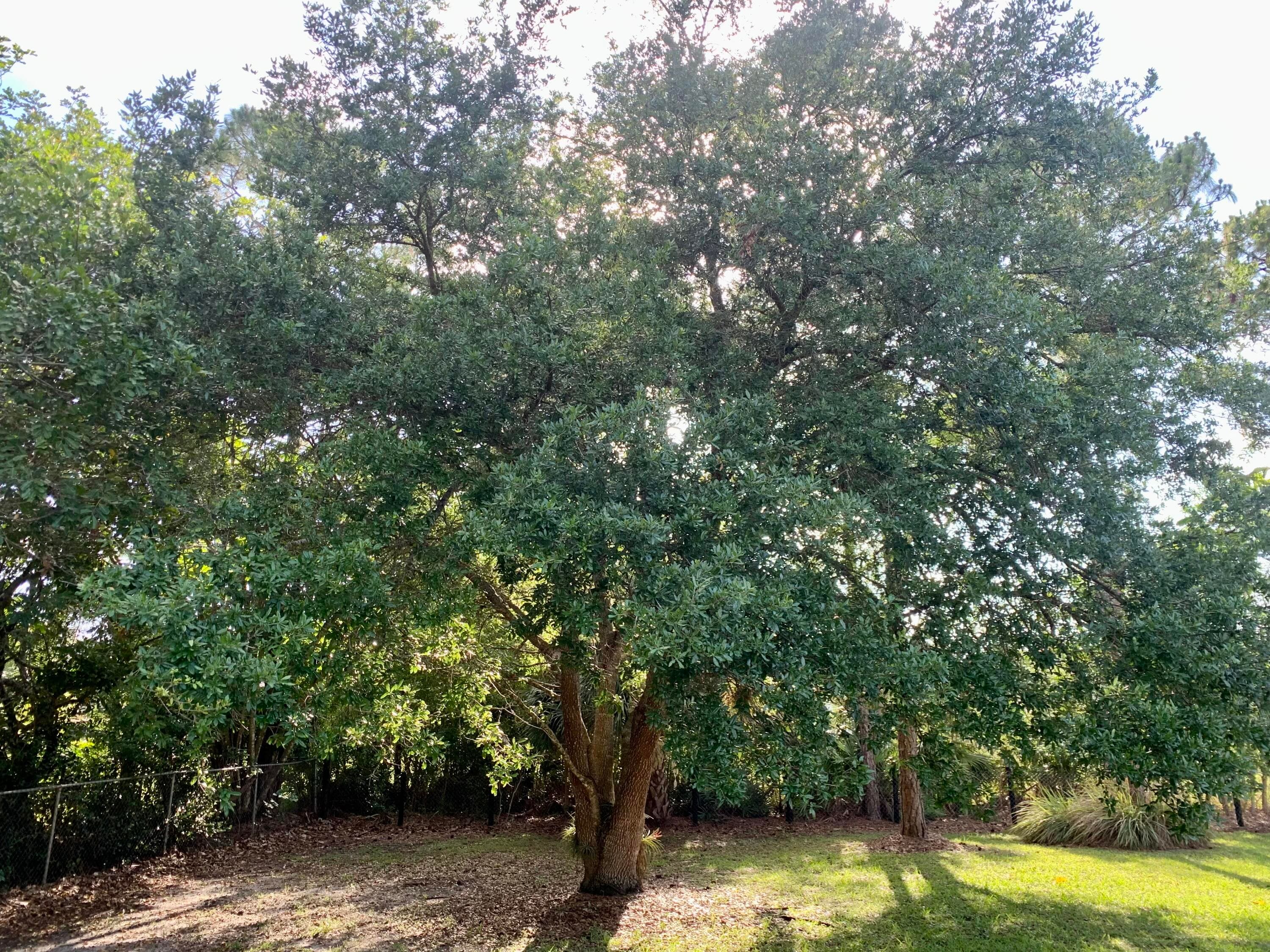 12920 N 75th Ln Lane N, The Acreage, FL 33412 — photo 45 of 46