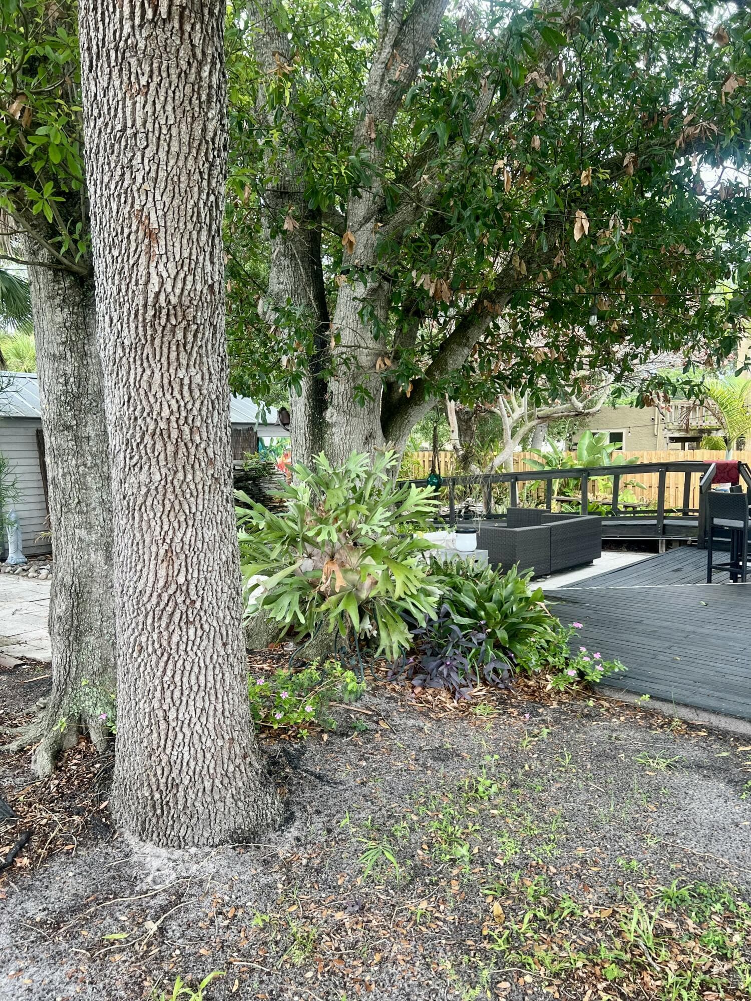 208 Avenue E, Fort Pierce, FL 34950 — photo 42 of 89