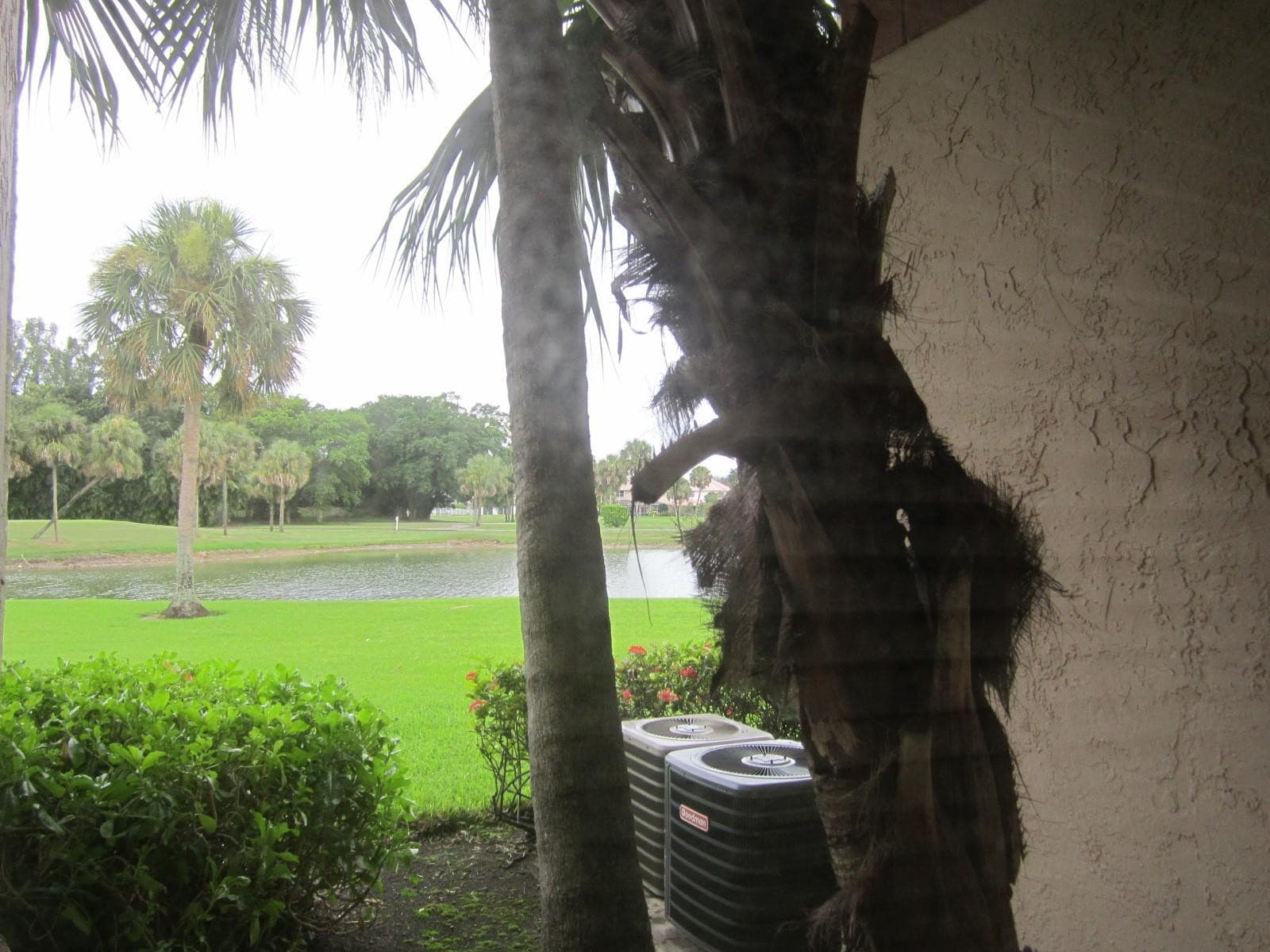 3310 N Pinewalk Drive N 1812, Margate, FL 33063 — photo 15 of 28