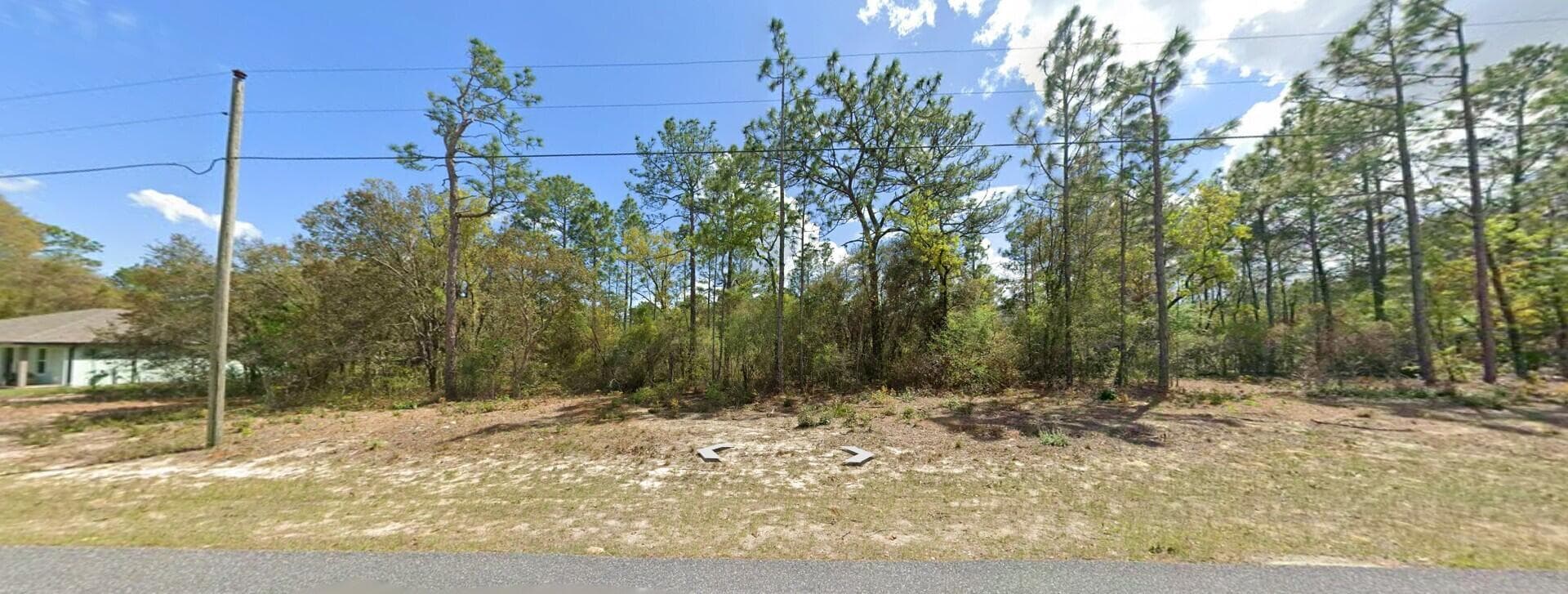 9029 N Saponaria Drive, Citrus Springs, FL 34433 — photo