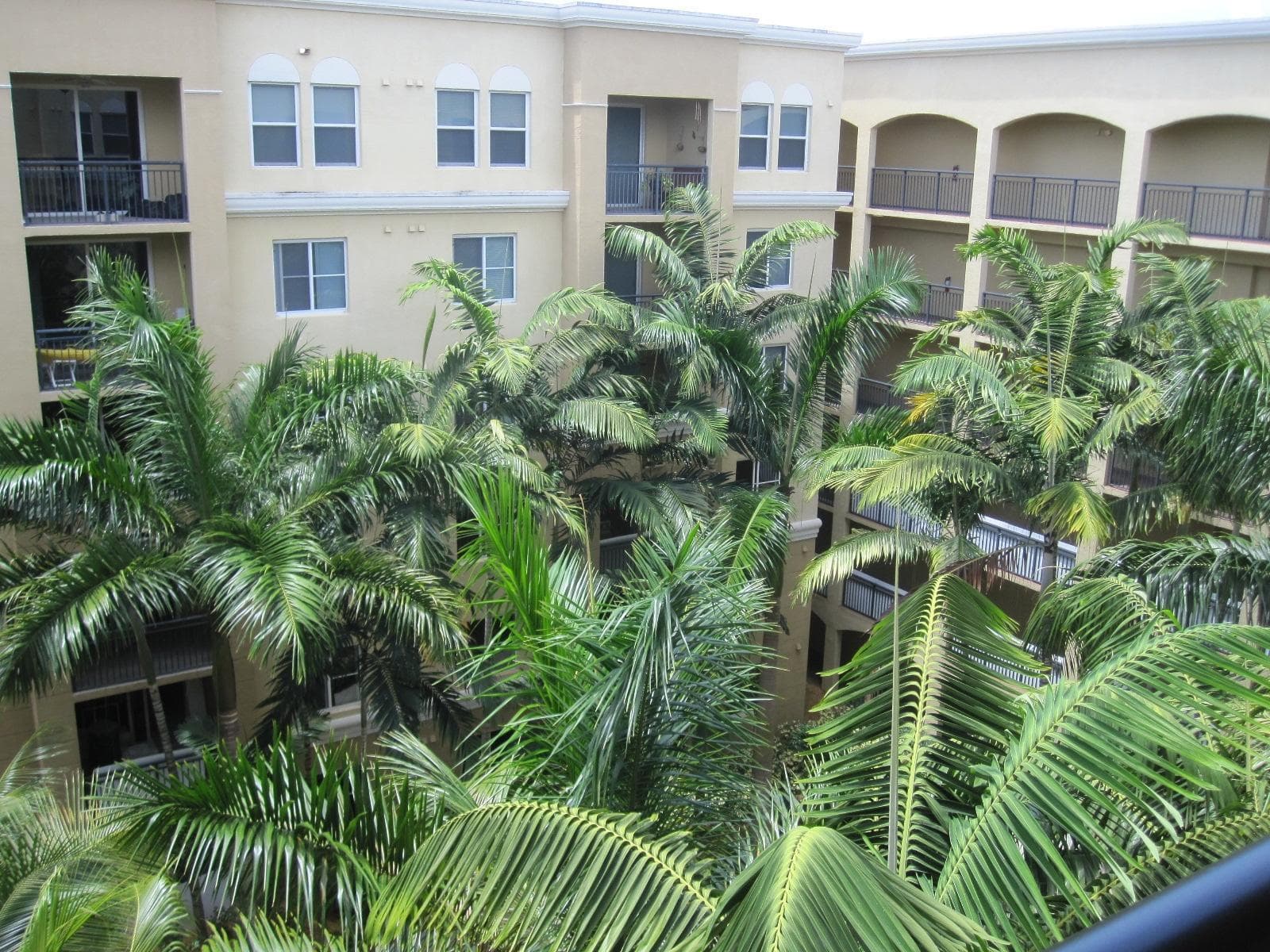 1690 Renaissance Commons Boulevard 1629, Boynton Beach, FL 33426 — photo 10 of 18