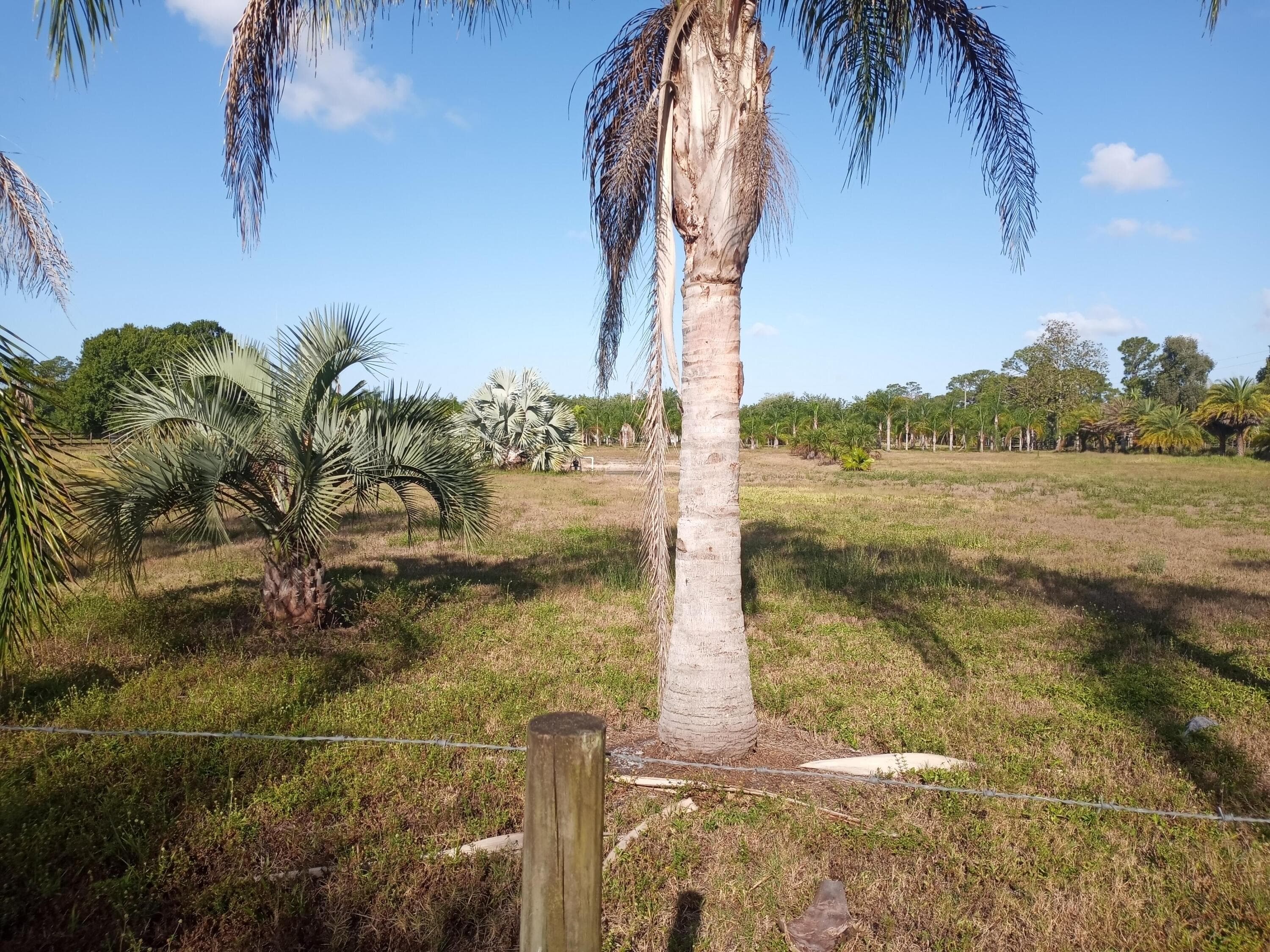 4500 SW Boatramp Avenue, Palm City, FL 34990 — photo 80 of 83