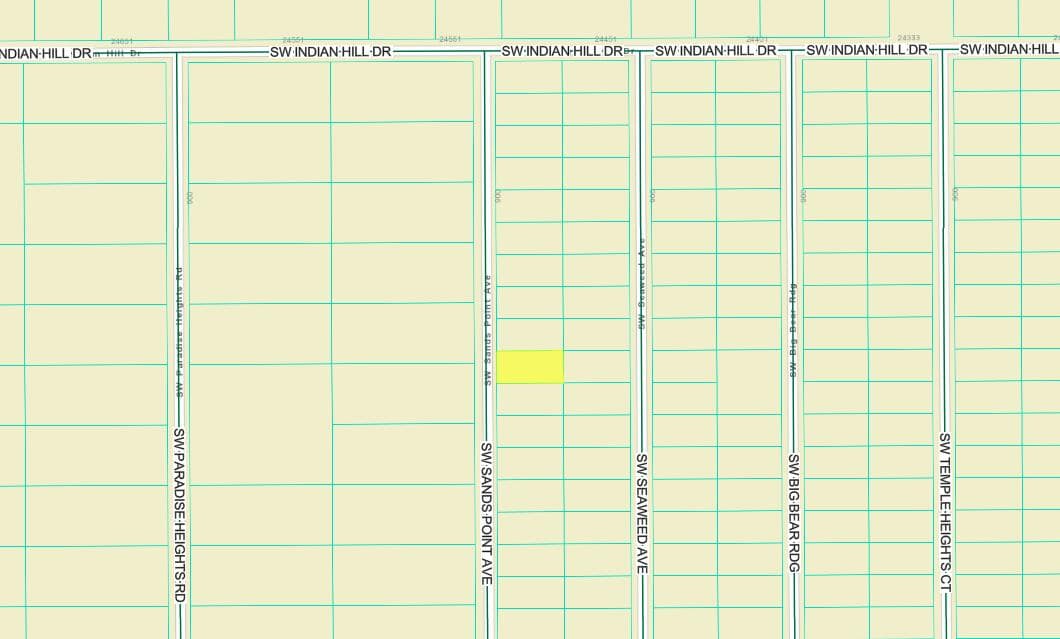 Tbd Sw Sands Point Ave, Dunnellon, FL 34431 — photo 3 of 4
