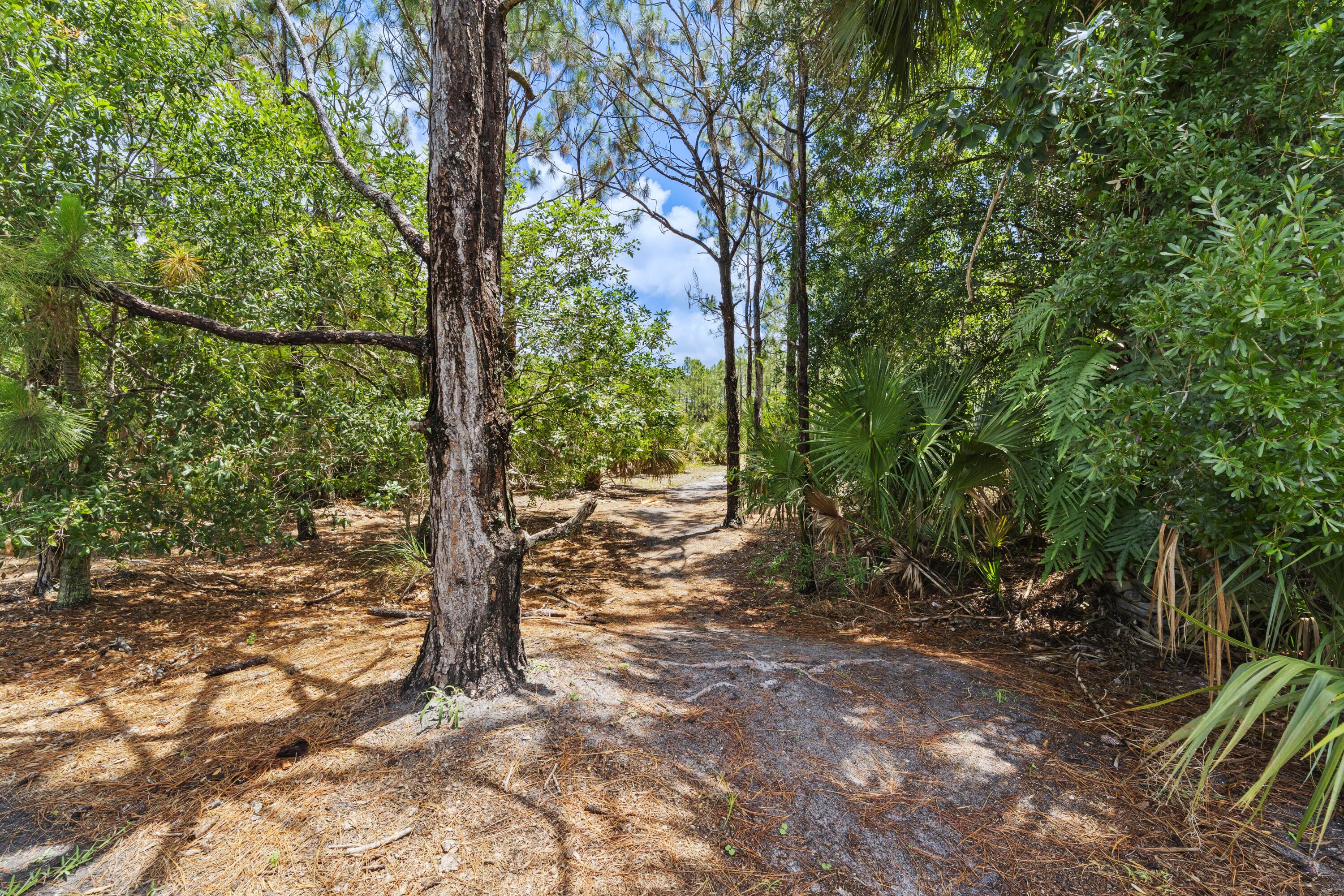 3051 SW Otter Lane, Stuart, FL 34997 — photo 23 of 28
