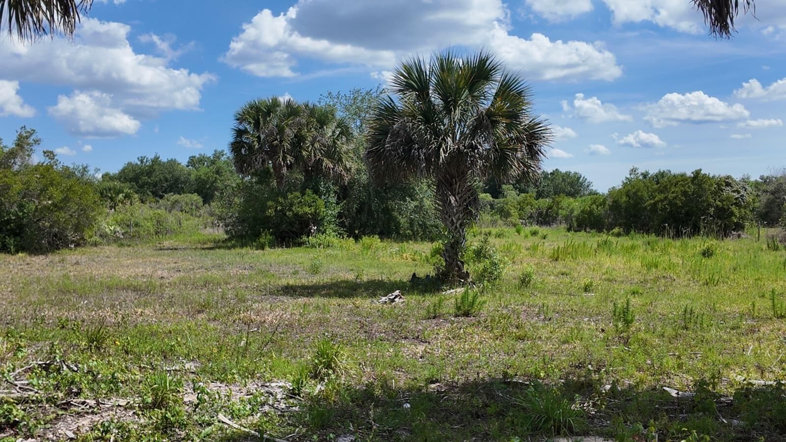 18980 NW 274th Street, Okeechobee, FL 34972 — photo 1 of 8
