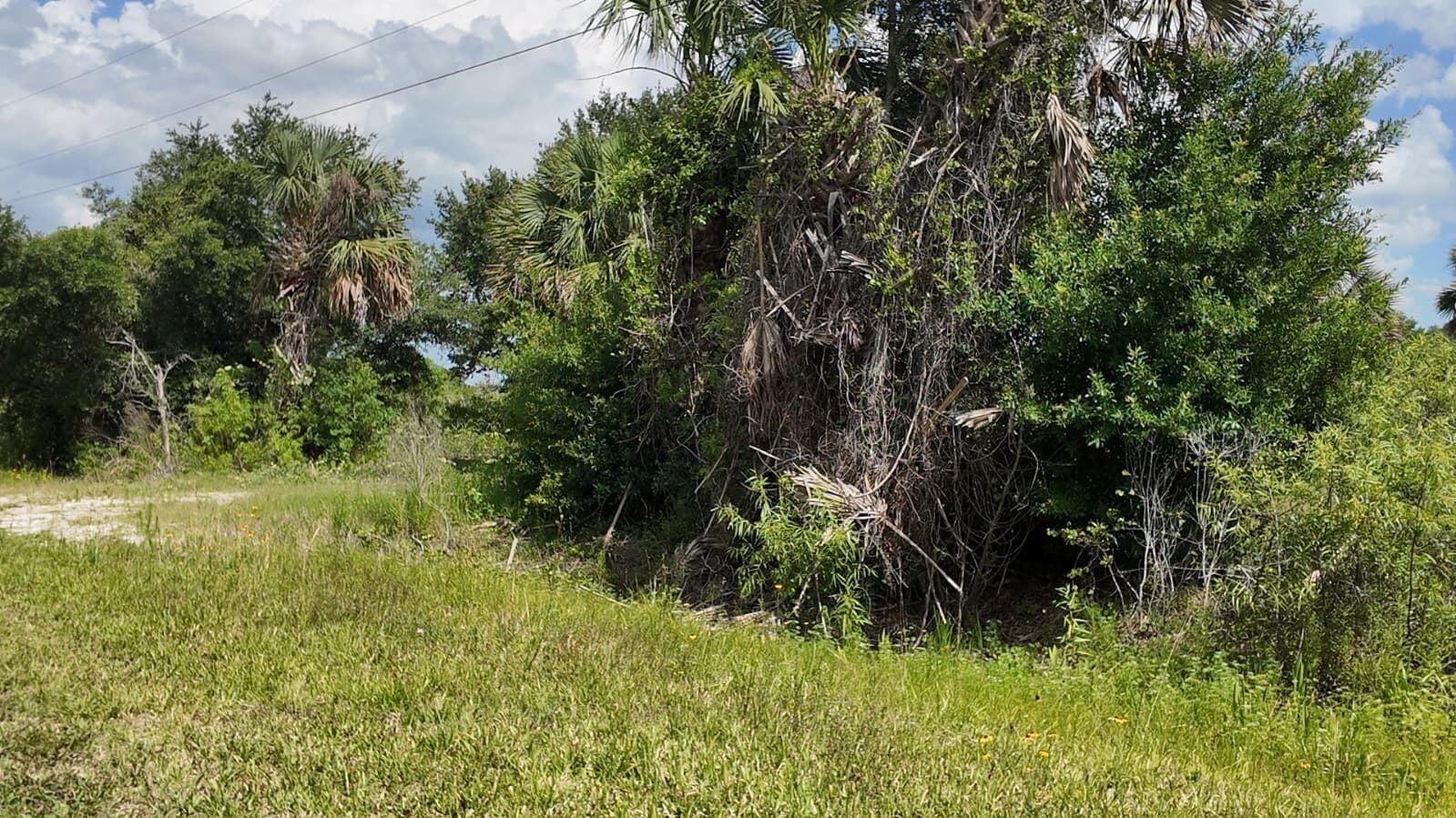 18980 NW 274th Street, Okeechobee, FL 34972 — photo 2 of 8