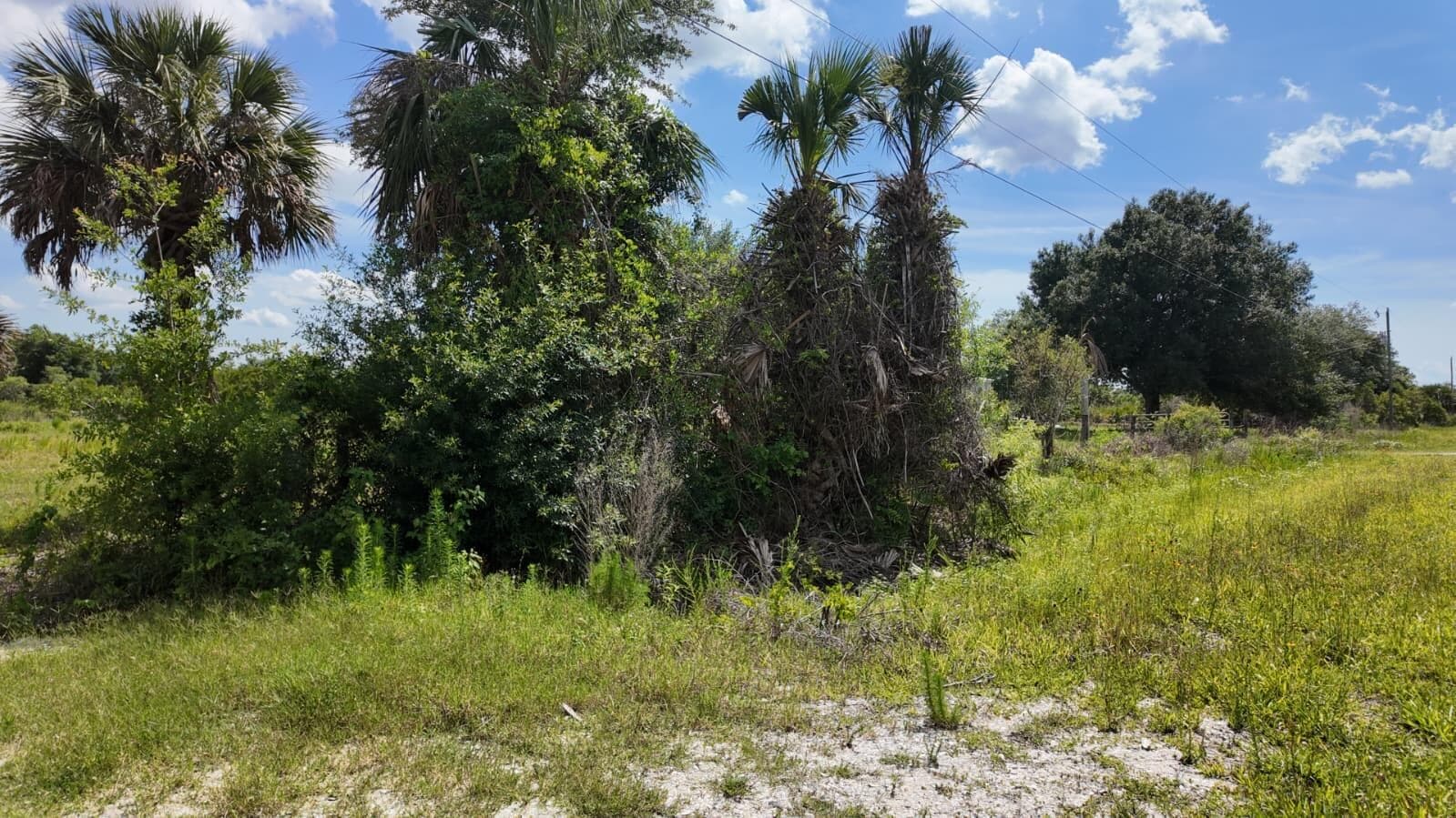 18980 NW 274th Street, Okeechobee, FL 34972 — photo 5 of 8