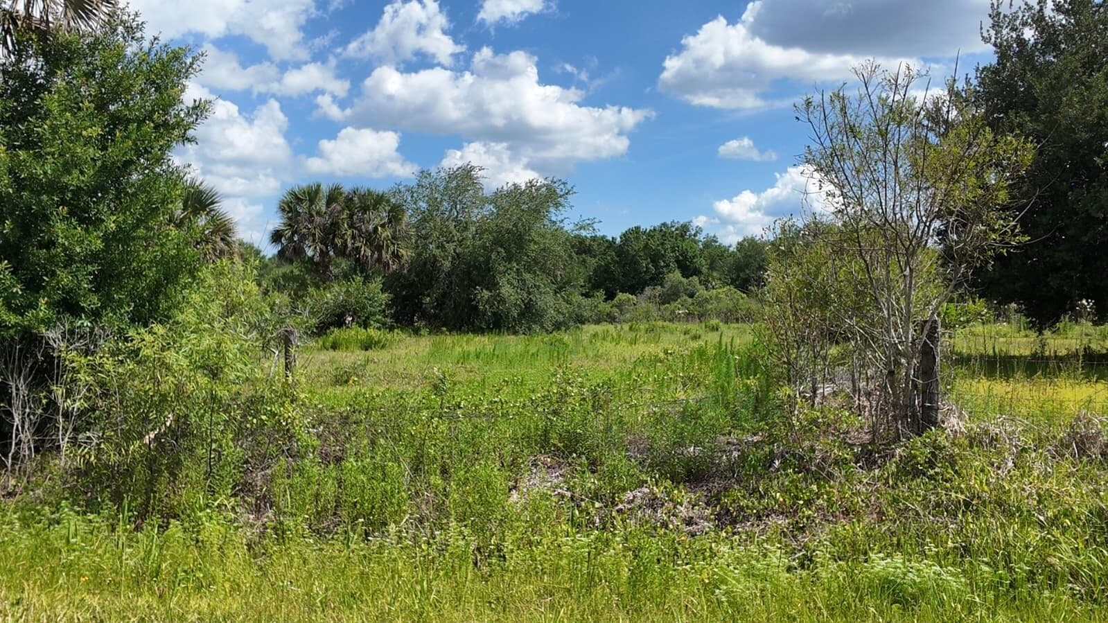 18980 NW 274th Street, Okeechobee, FL 34972 — photo 7 of 8