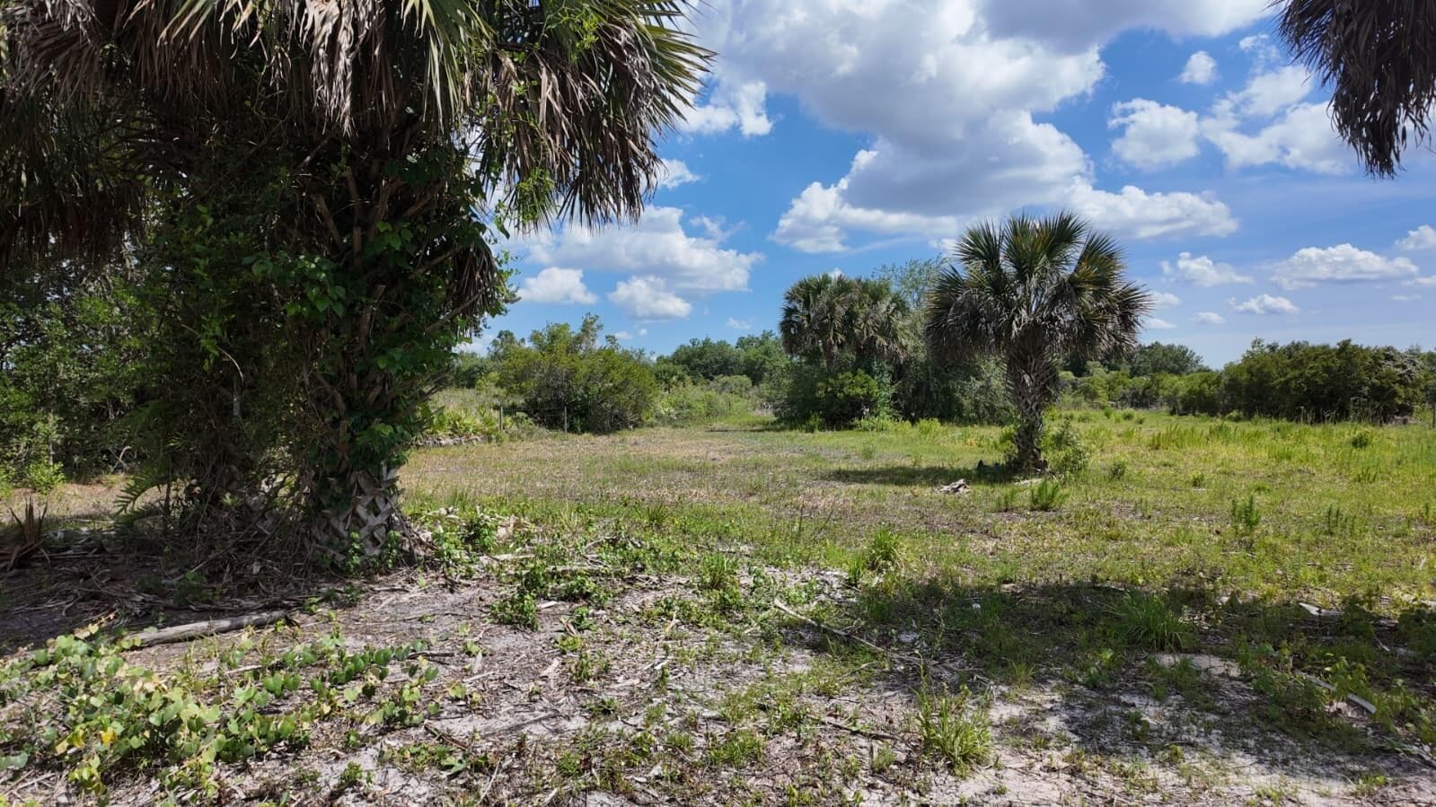 18980 NW 274th Street, Okeechobee, FL 34972 — photo 8 of 8