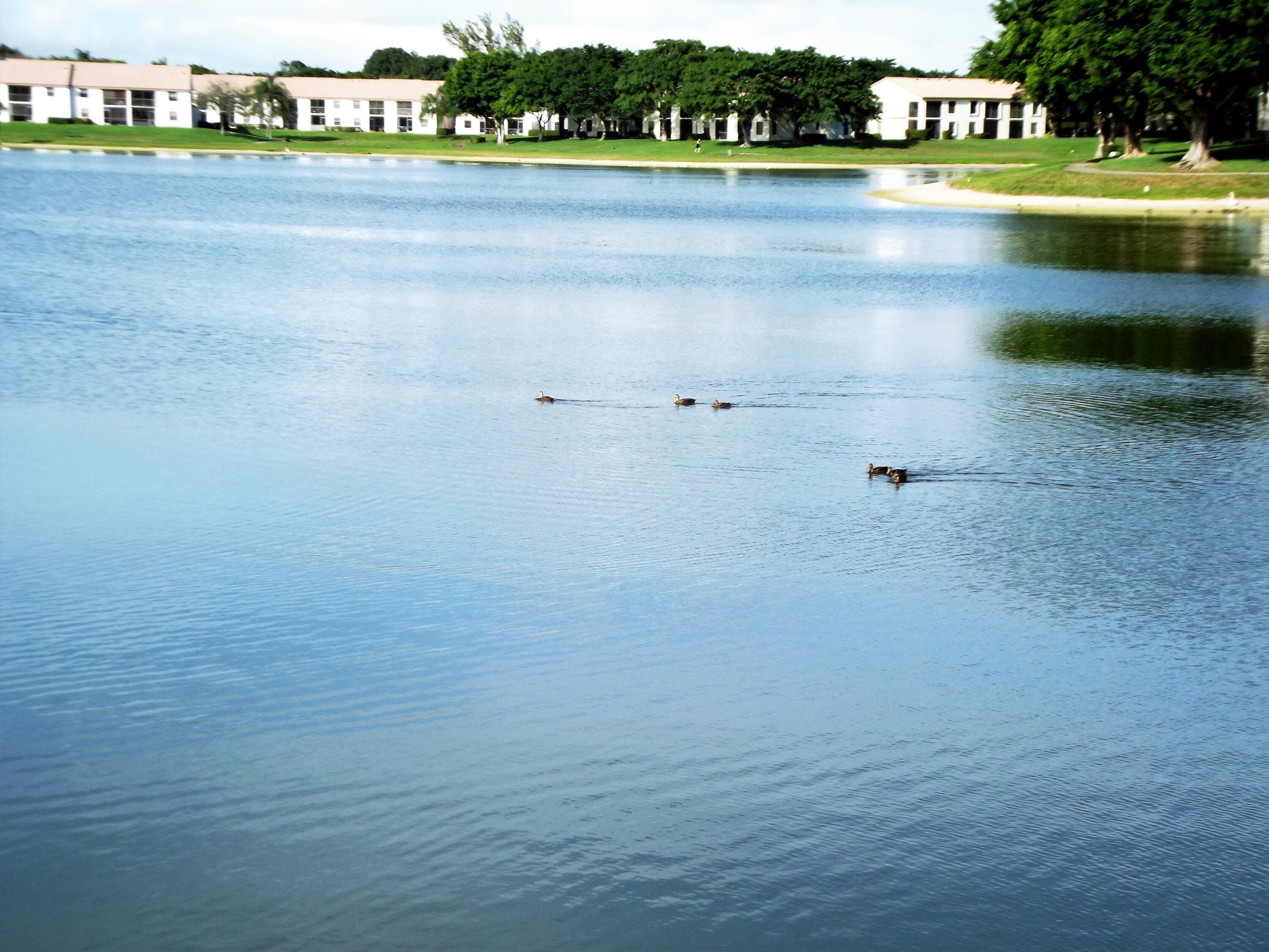 320 Norwood Terrace 113, Boca Raton, FL 33431 — photo 42 of 43