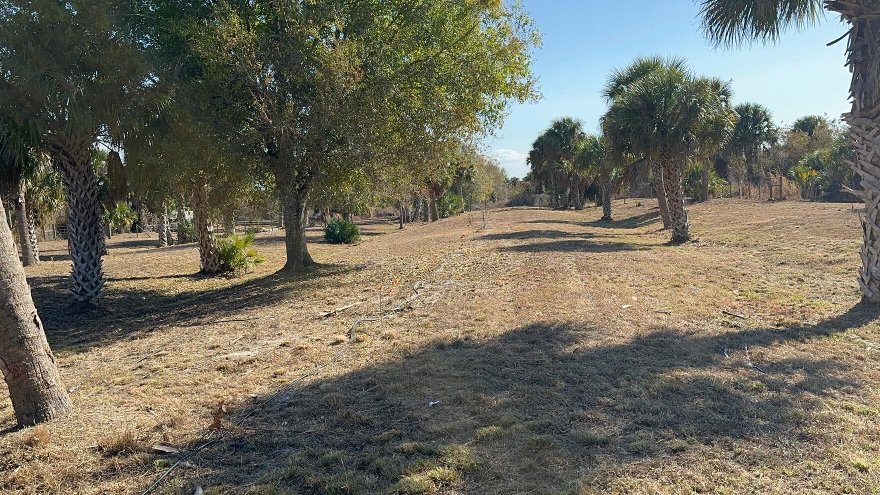 27325 SW Tommy Clements Street, Indiantown, FL 34956 — photo 3 of 6