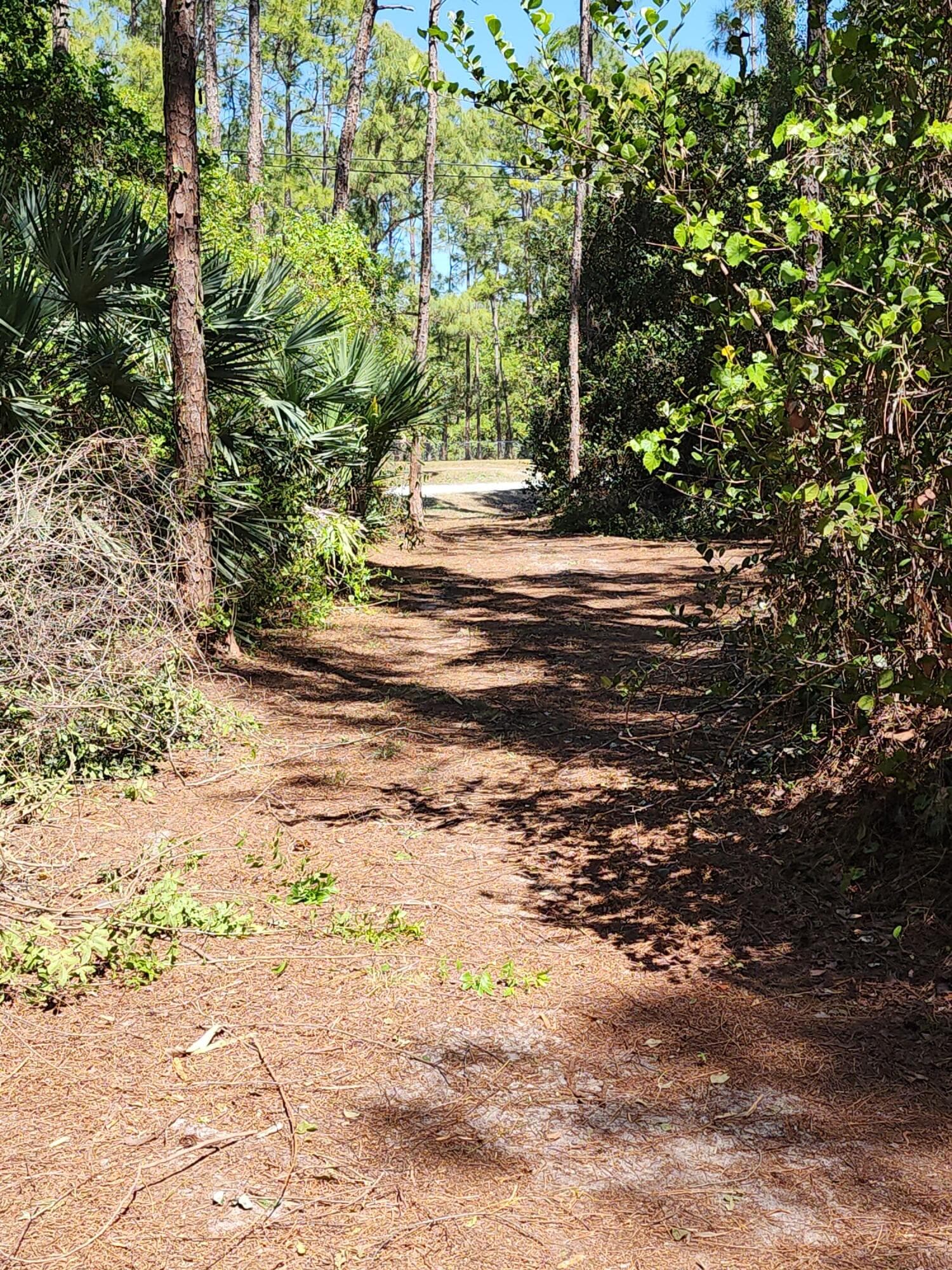16784 84th Court N, The Acreage, FL 33470 — photo 4 of 8