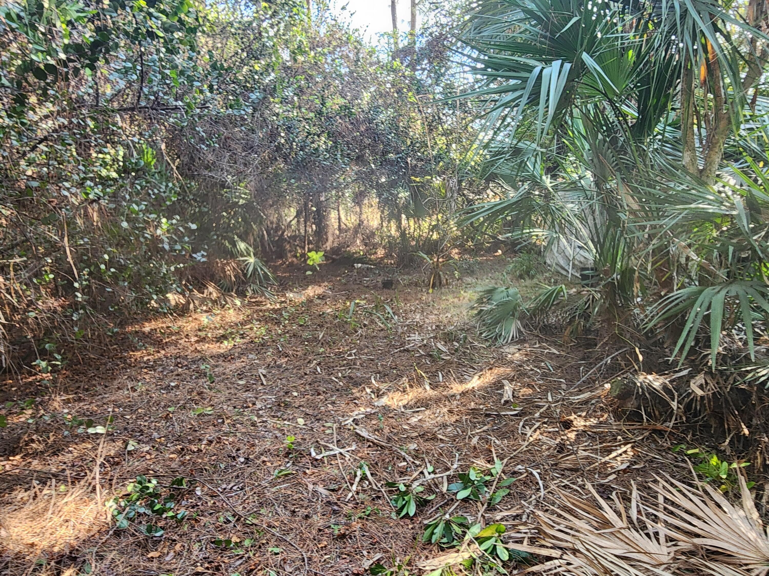 16784 84th Court N, The Acreage, FL 33470 — photo 6 of 8
