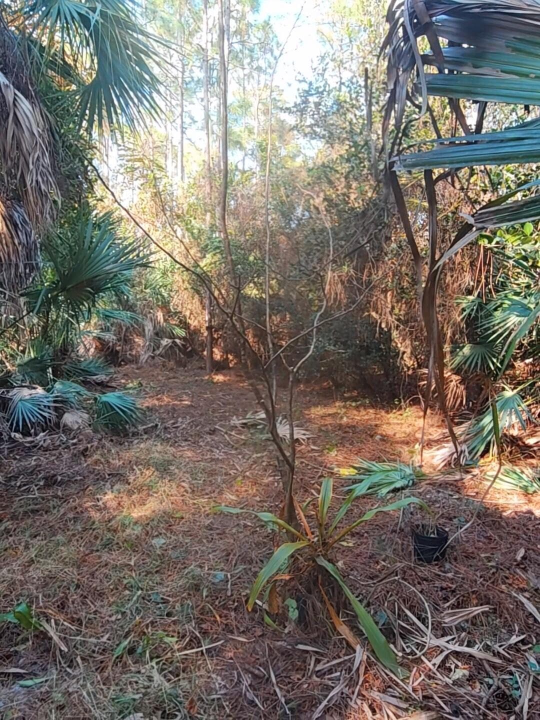 16784 84th Court N, The Acreage, FL 33470 — photo 7 of 8