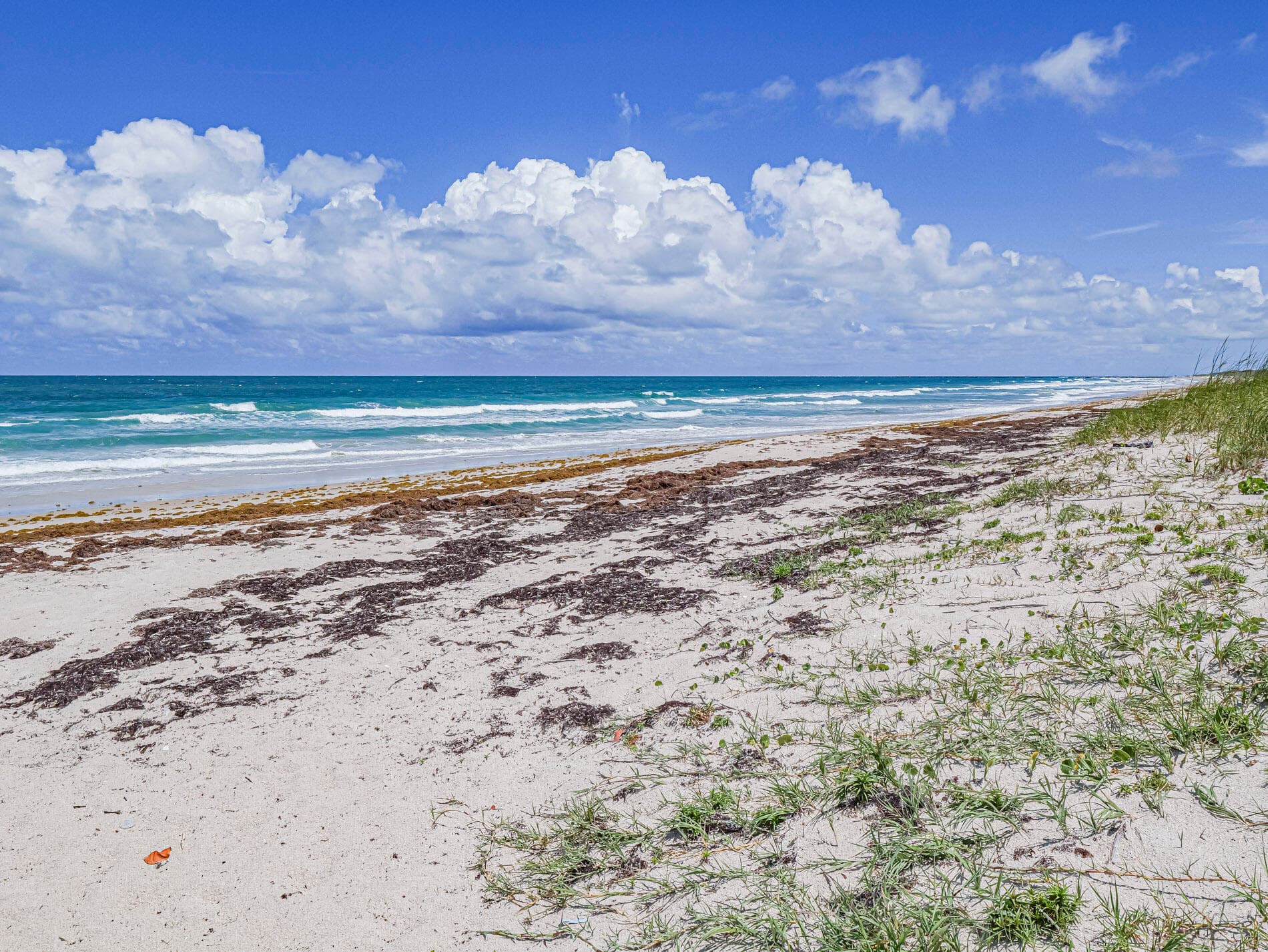 2700 N Highway A1a 305, Fort Pierce, FL 34949 — photo 69 of 81