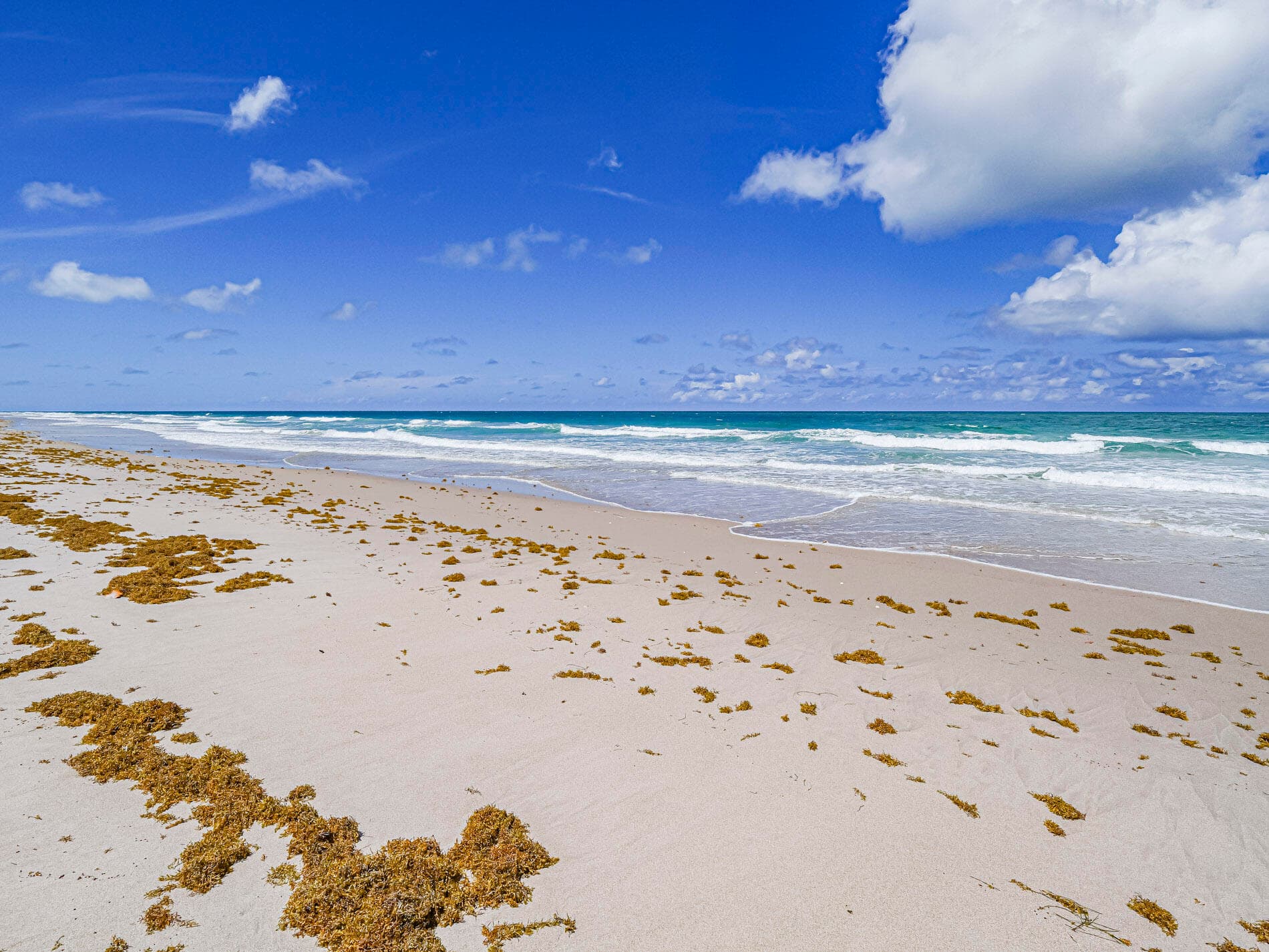 2700 N Highway A1a 305, Fort Pierce, FL 34949 — photo 70 of 81