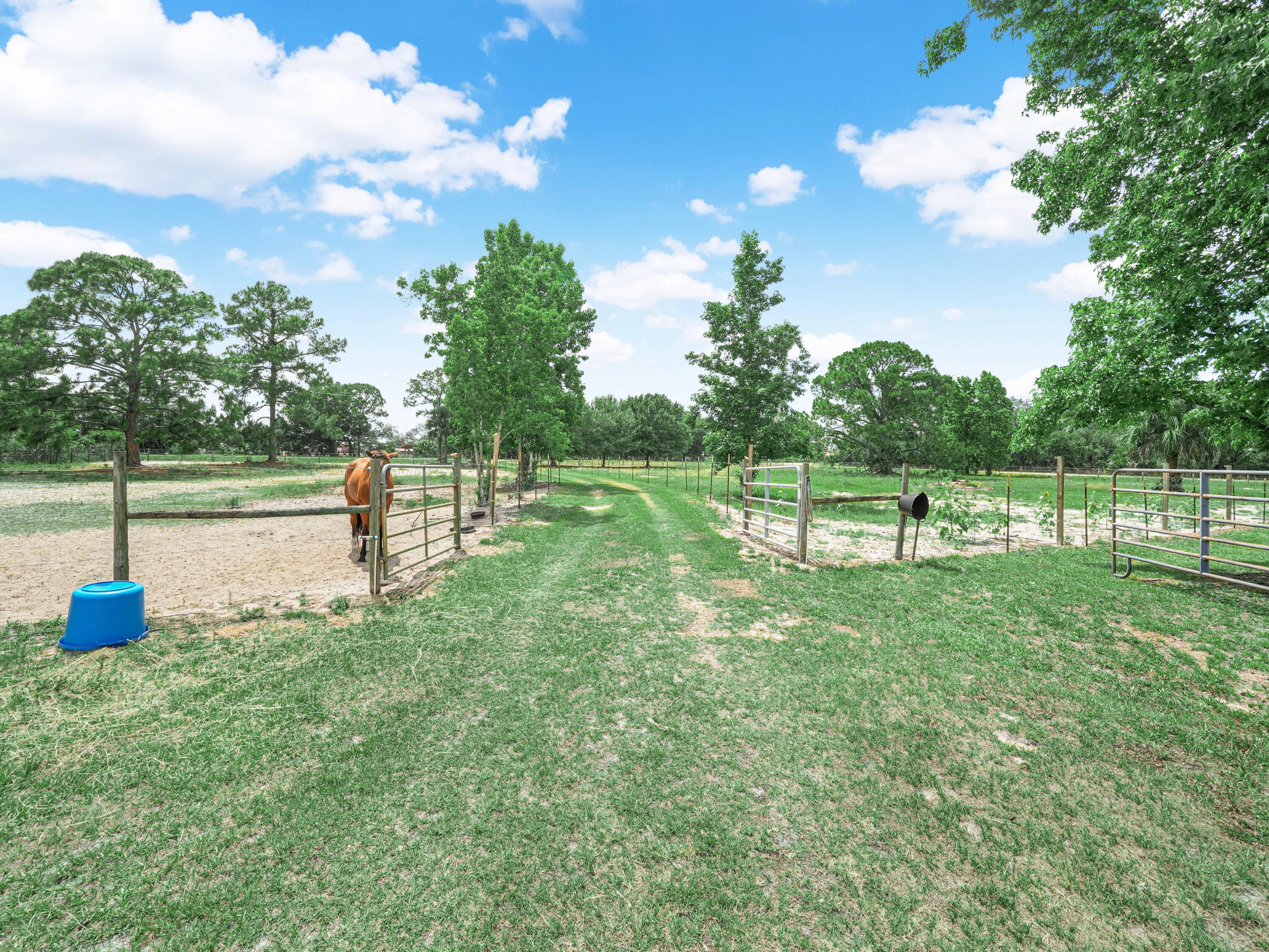 4002 Everhigh Acres Road, Clewiston, FL 33440 — photo 4 of 45