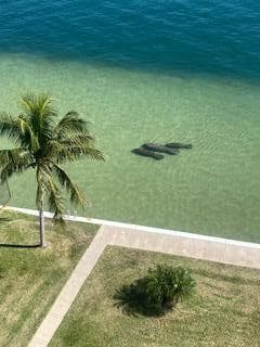 301 Lake Shore Drive 801, Lake Park, FL 33403 — photo 50 of 54