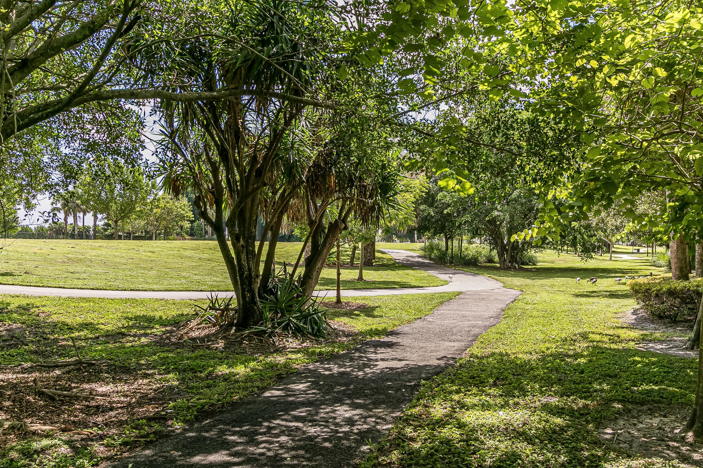 950 Hillcrest Drive 514, Hollywood, FL 33021 — photo 38 of 42