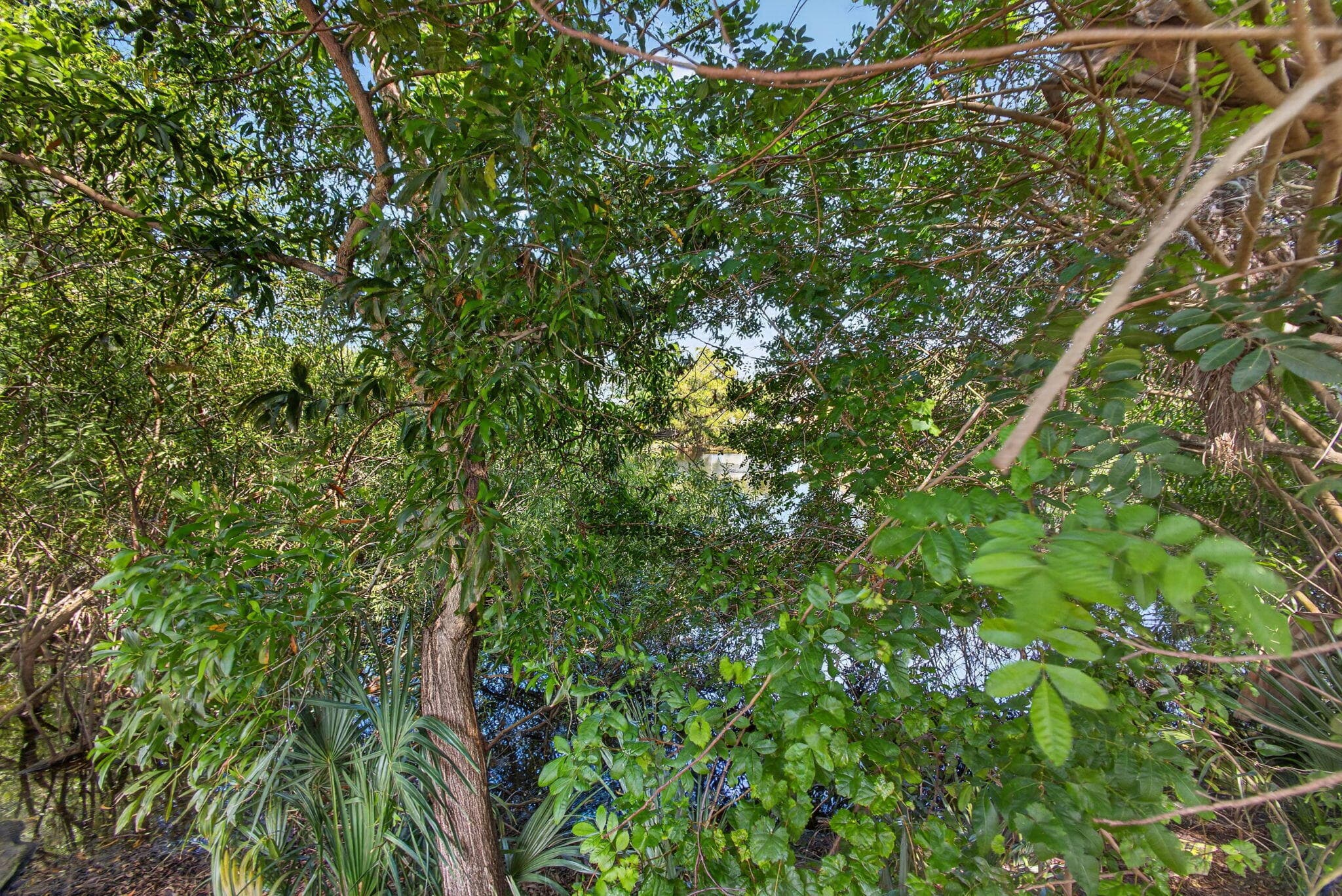 5500 West Place, Mangonia Park, FL 33407 — photo 58 of 64