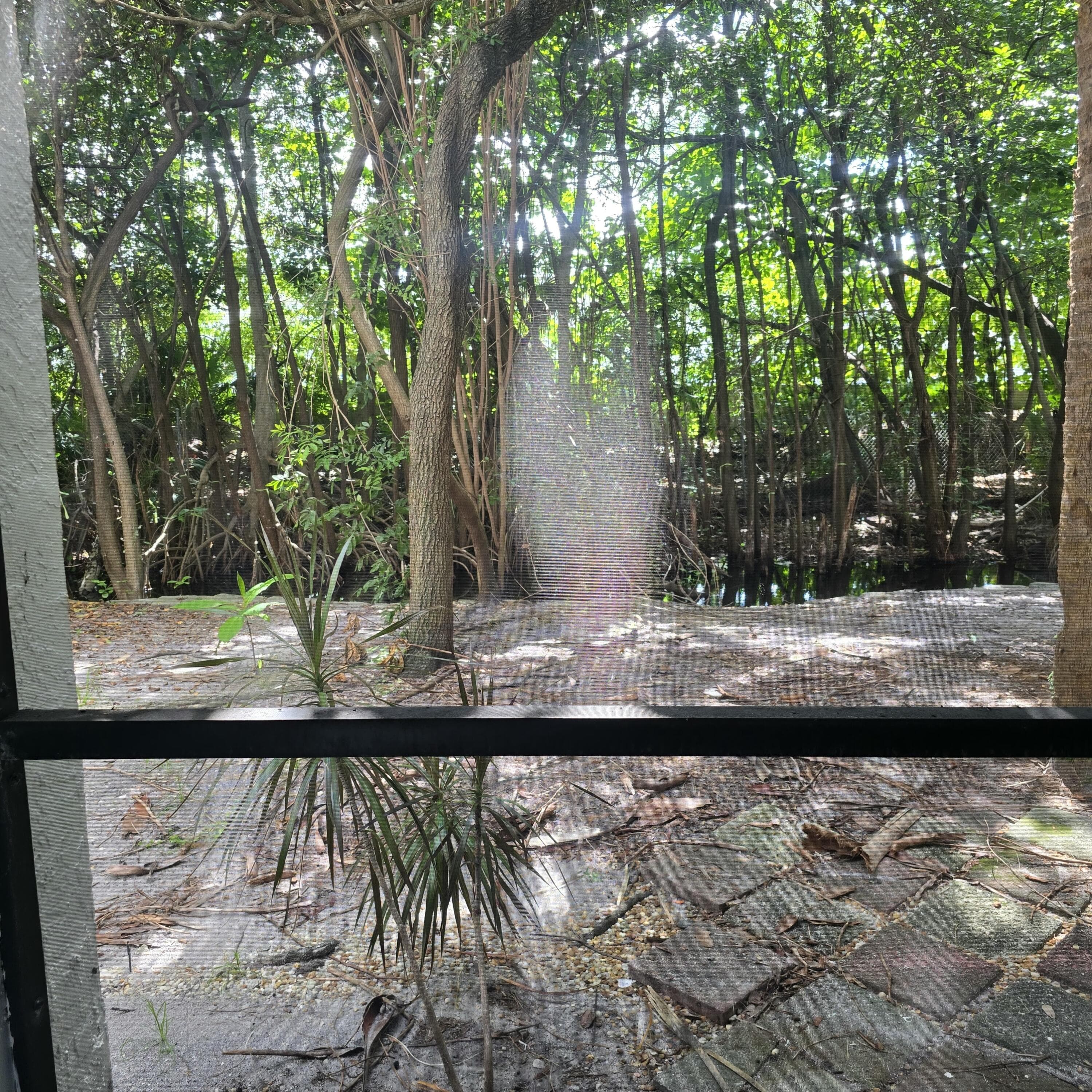 2445 SW 18th Terrace 902, Fort Lauderdale, FL 33315 — photo 11 of 18