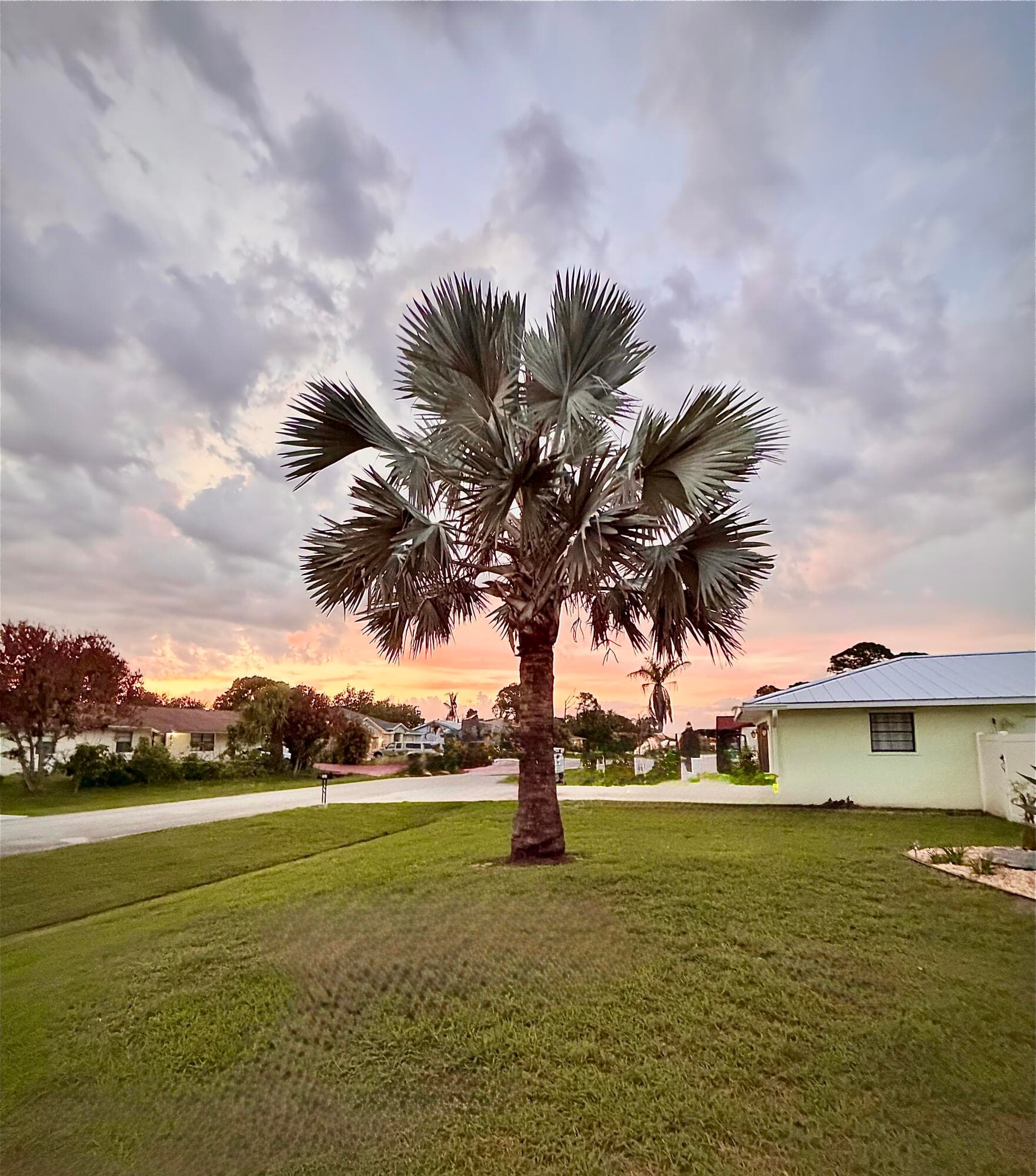 127 NW Avens Street, Port St. Lucie, FL 34983 — photo 66 of 83