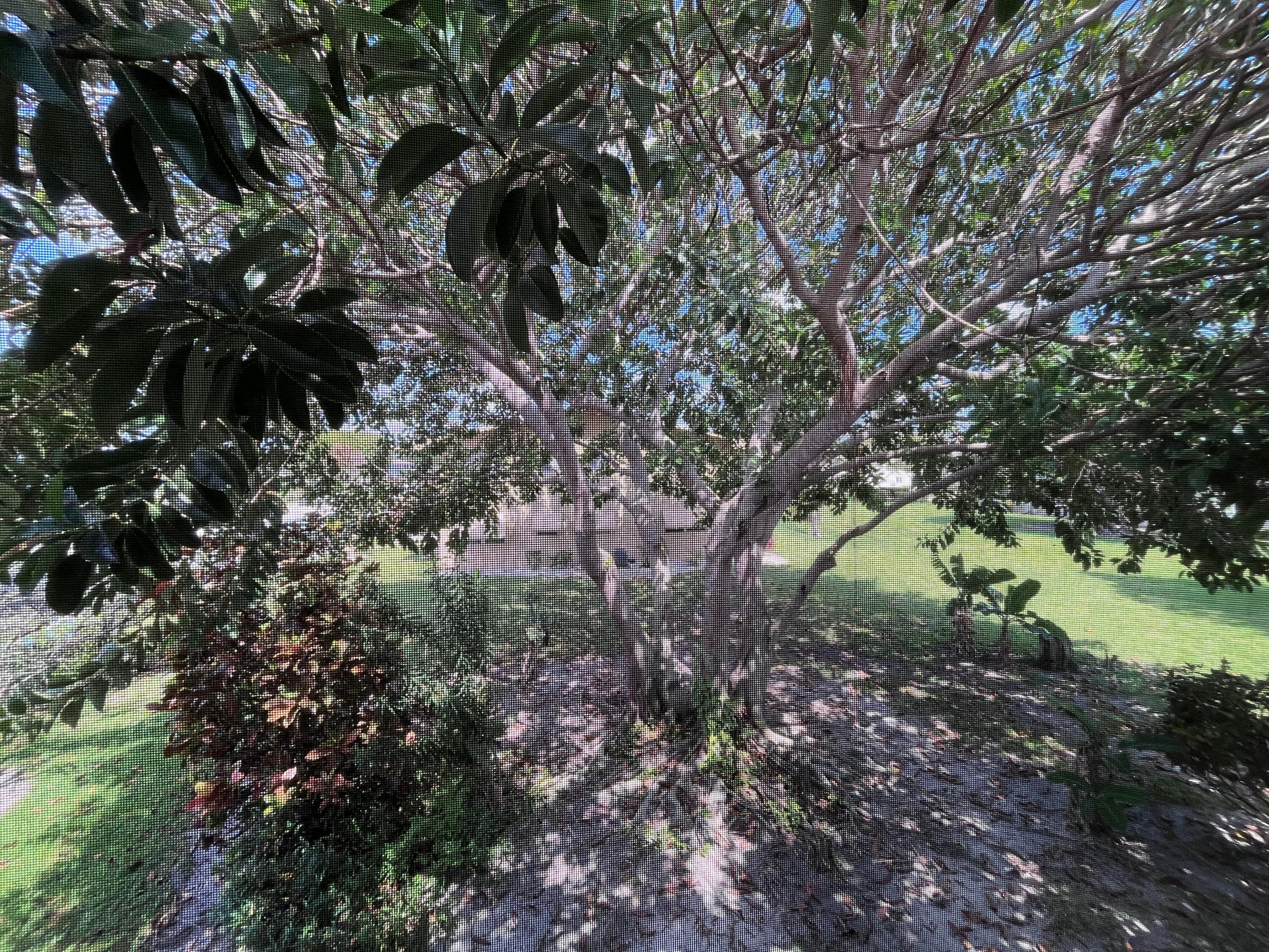 49 Cambridge B, West Palm Beach, FL 33417 — photo 12 of 19