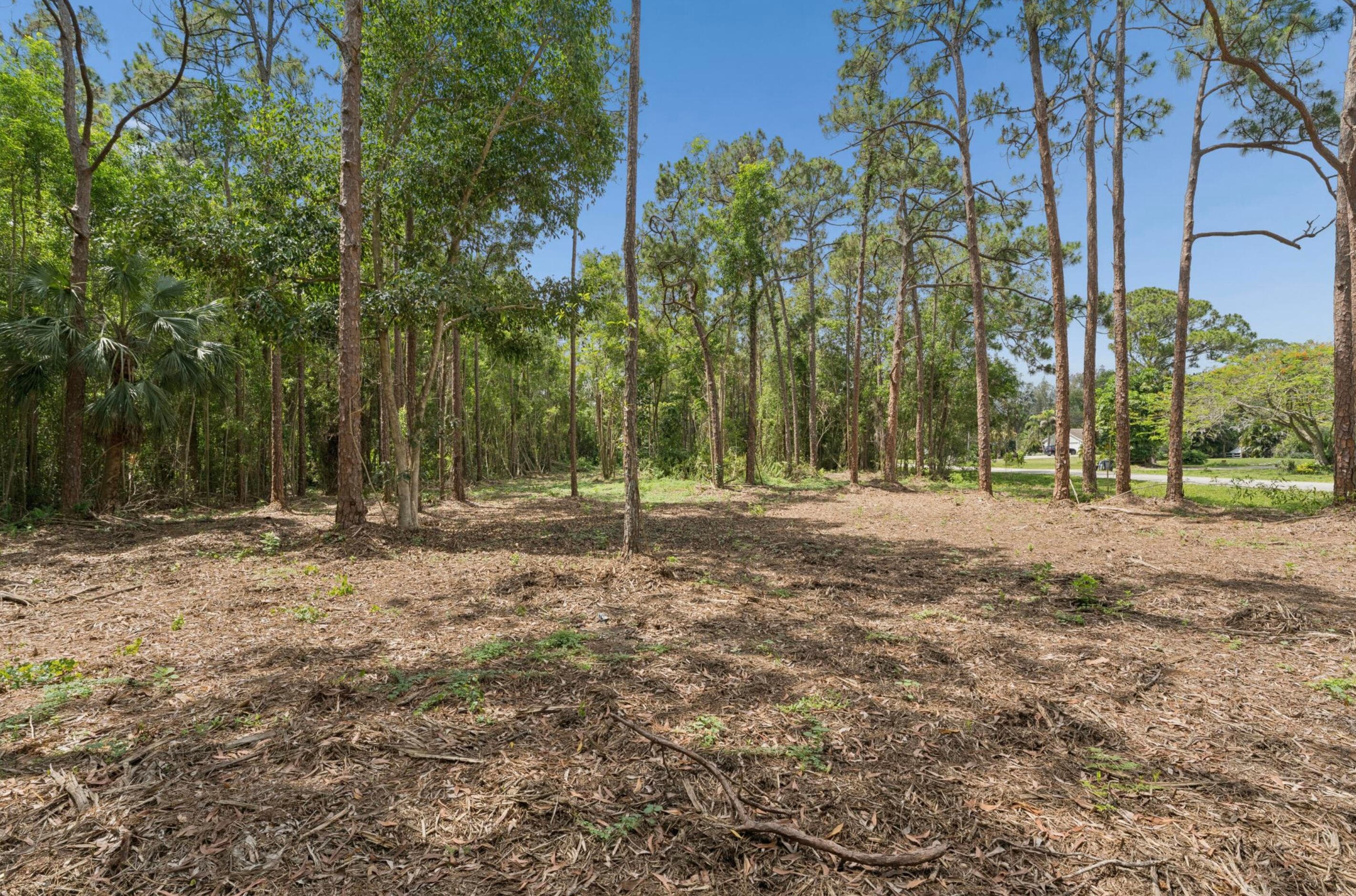 Xxxx 47th Road N, West Palm Beach, FL 33411 — photo 4 of 9
