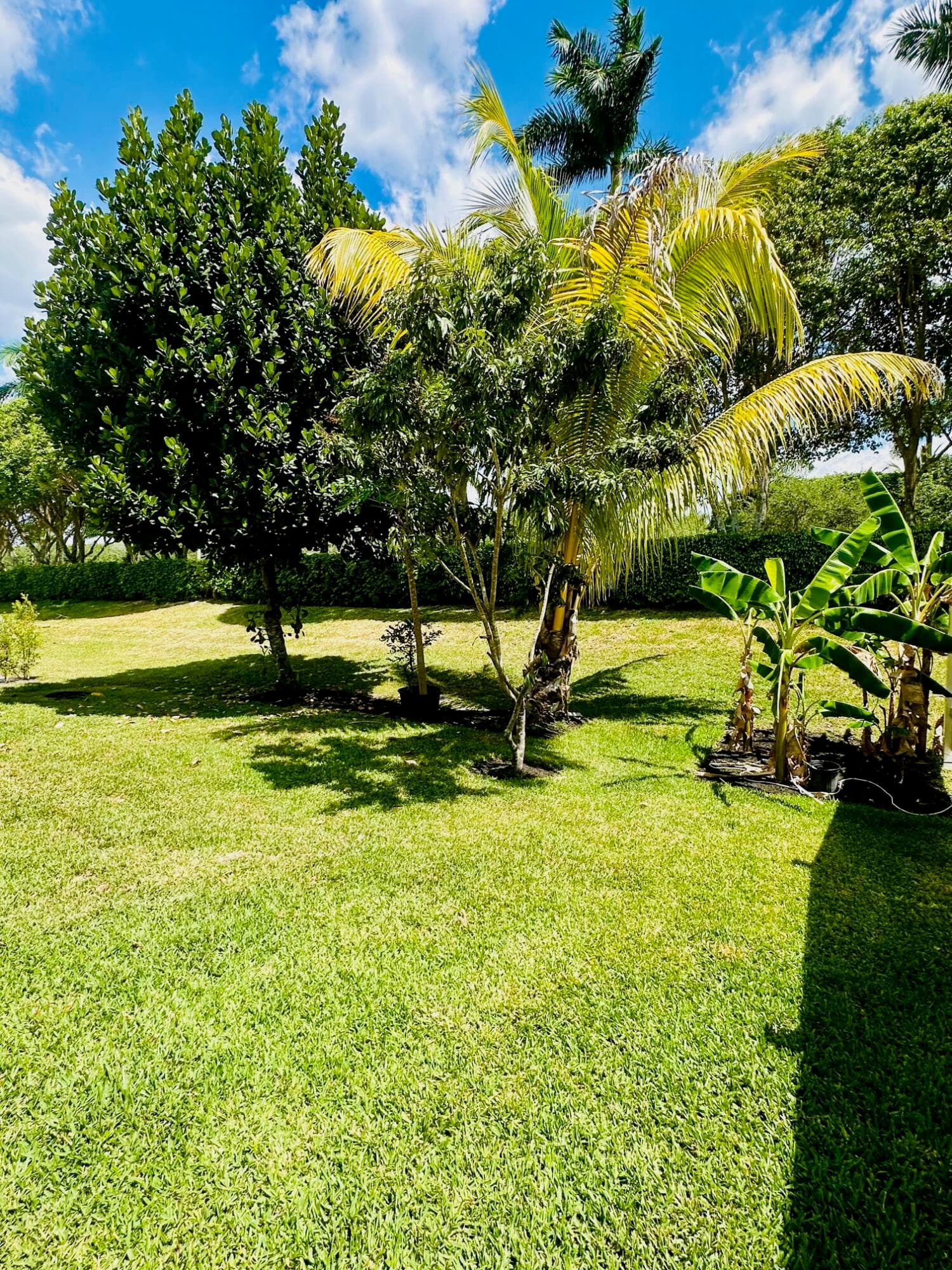 9205 Dupont Place, Wellington, FL 33414 — photo 24 of 60