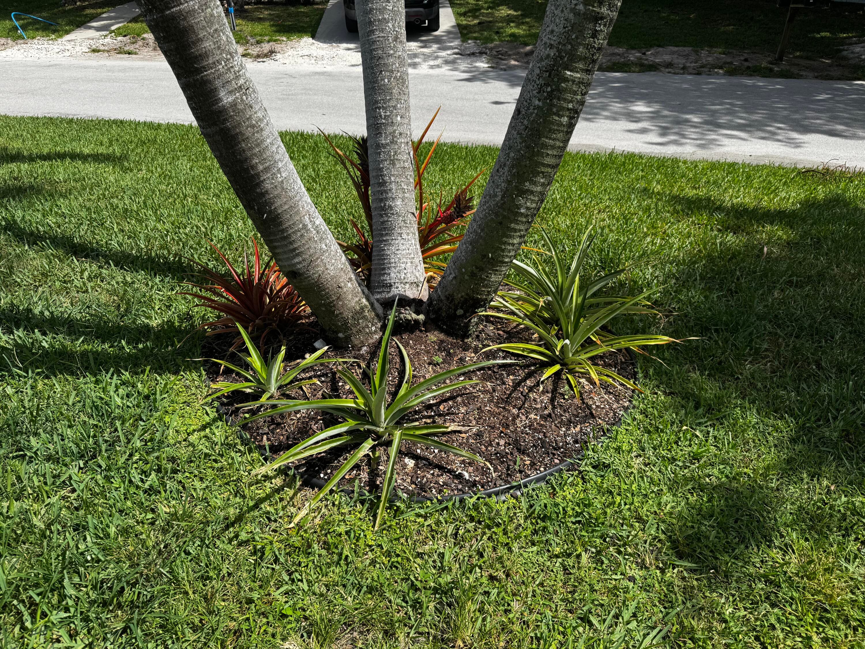 4081 4th Court, Lantana, FL 33462 — photo 12 of 19