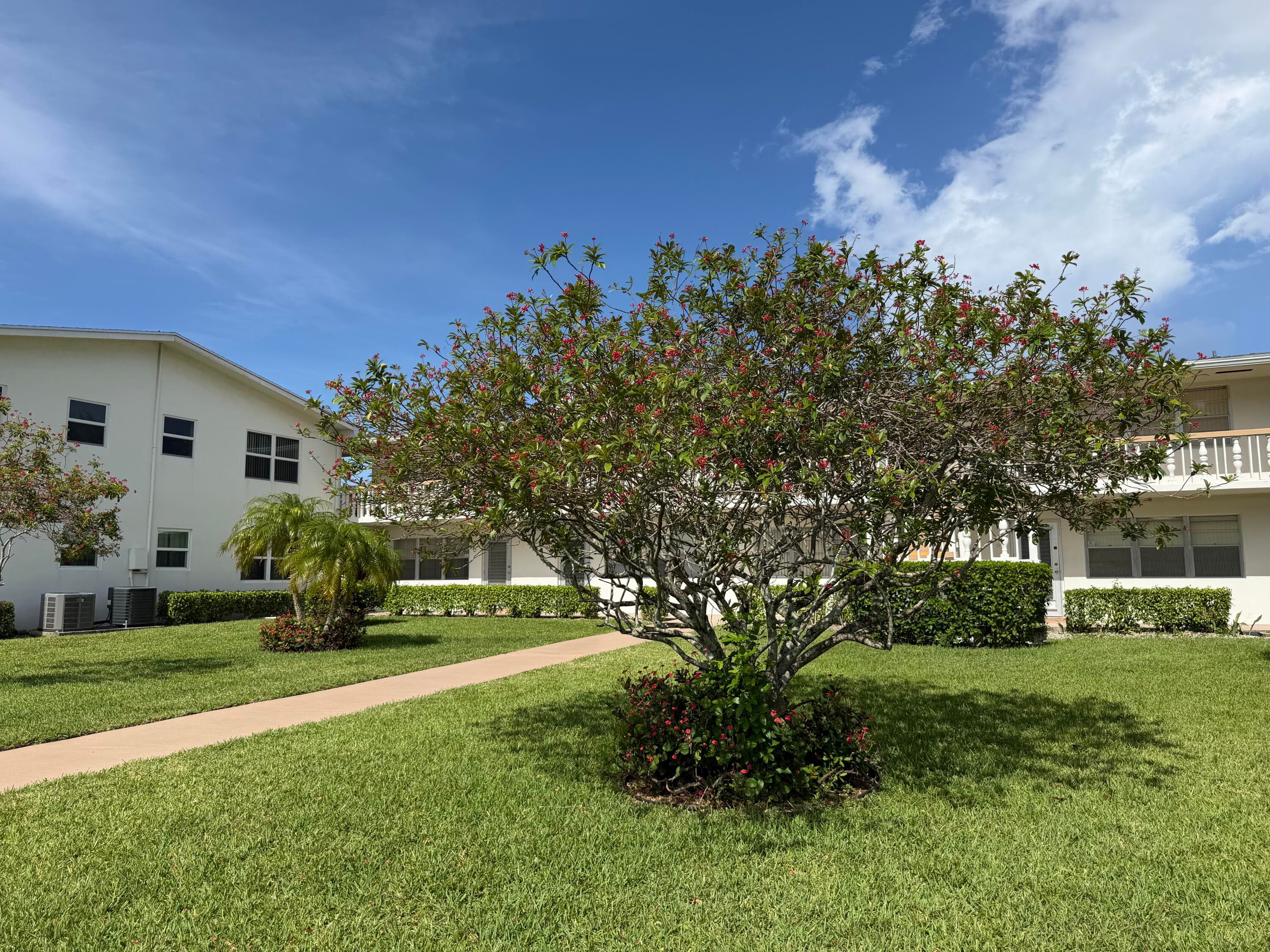 162 Windsor H, West Palm Beach, FL 33417 — photo 30 of 30
