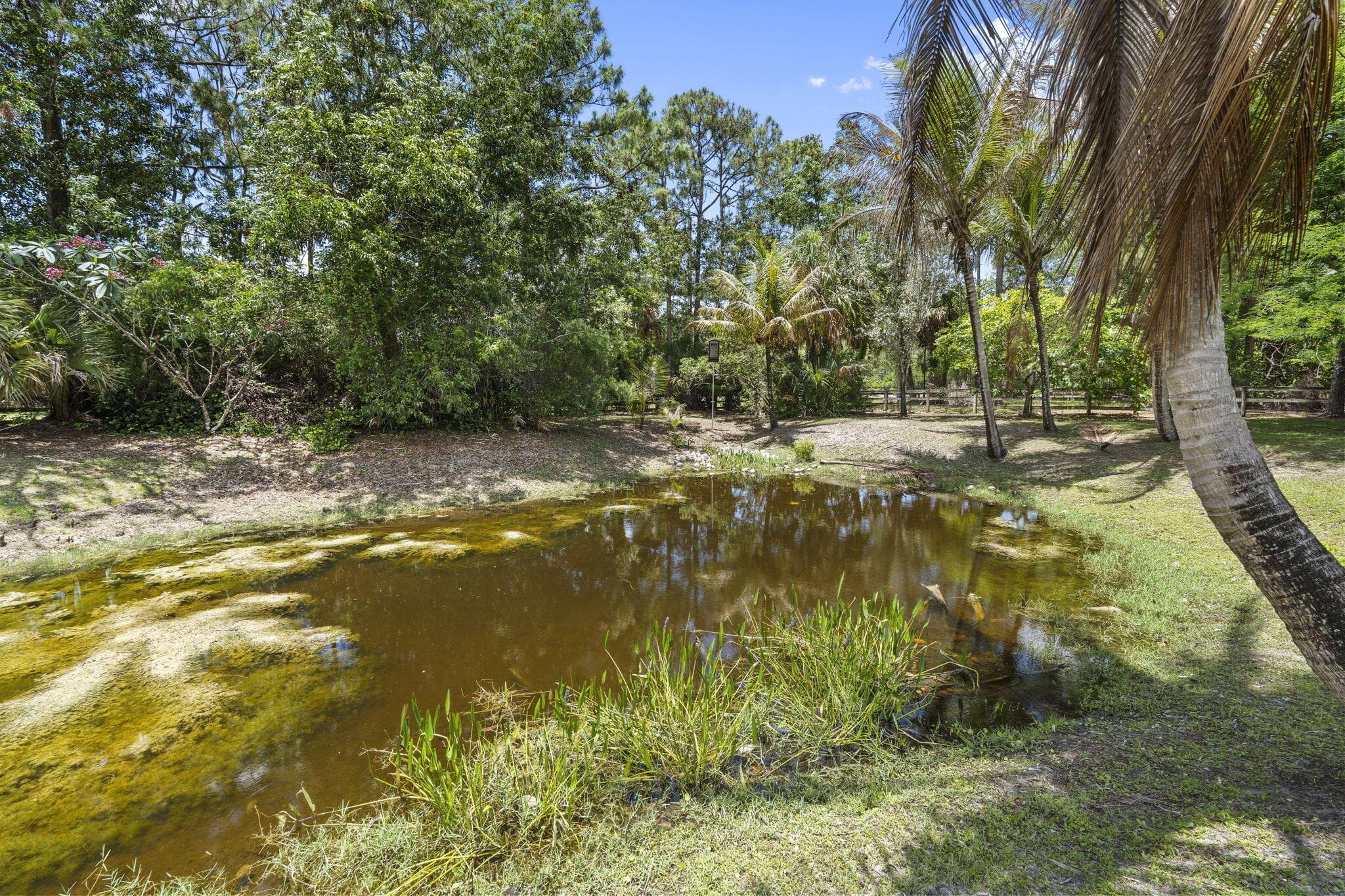 17225 Mare Lane, Loxahatchee, FL 33470 — photo 42 of 101