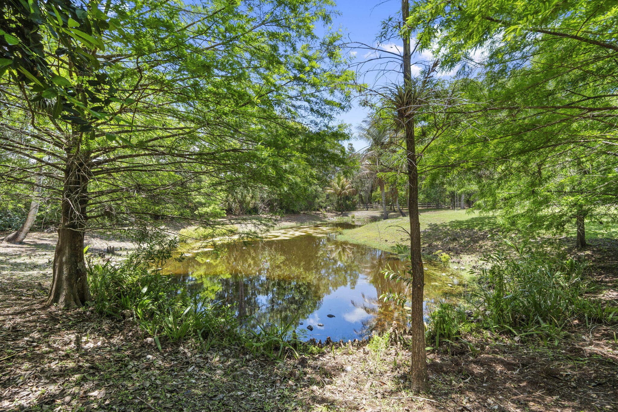 17225 Mare Lane, Loxahatchee, FL 33470 — photo 44 of 101