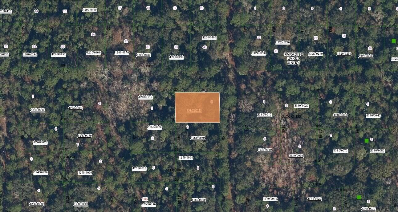 0 Spruce Drive, Georgetown, FL 32139 — photo
