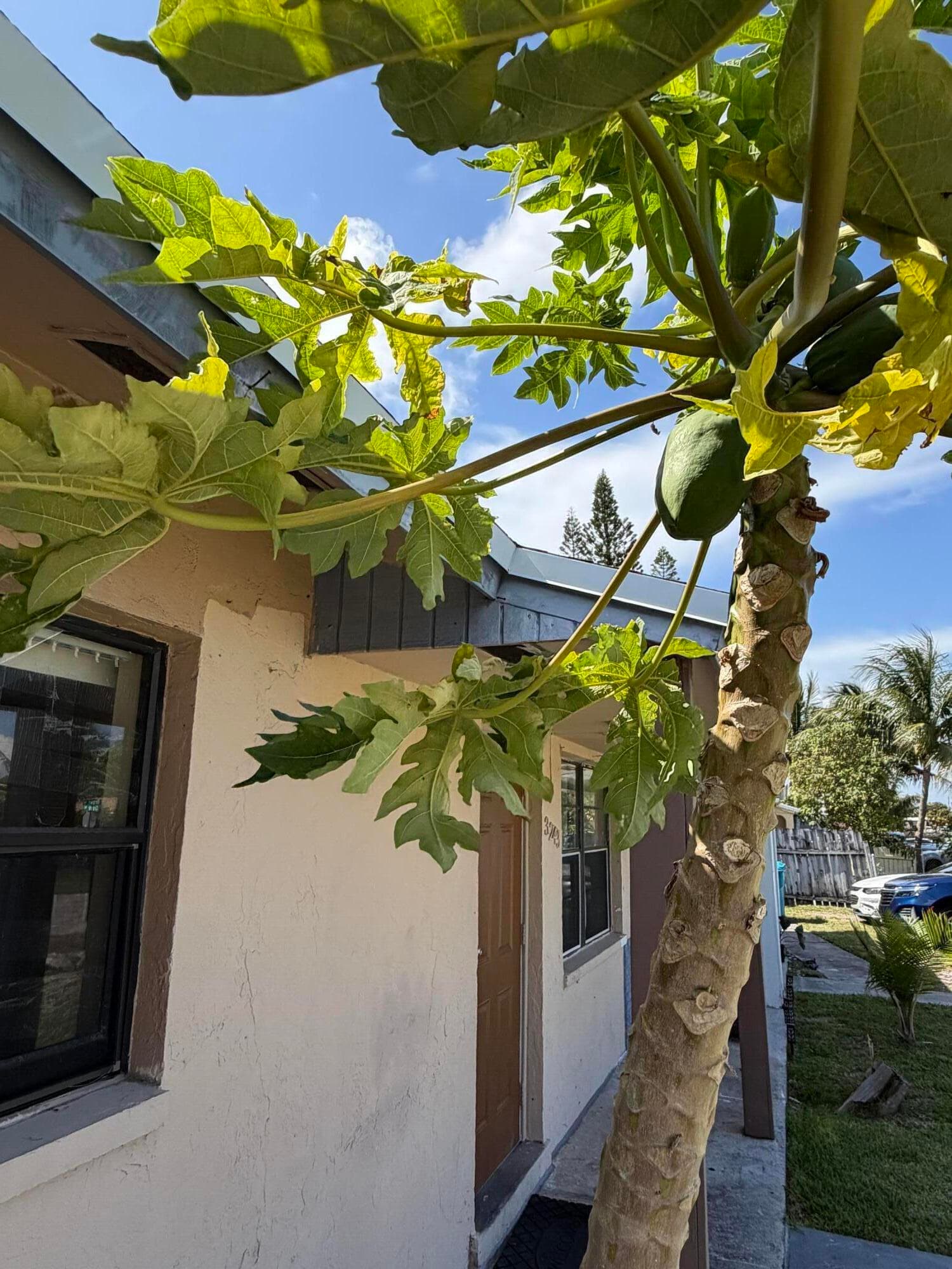 3243 Grove Road, Boynton Beach, FL 33435 — photo 1 of 33
