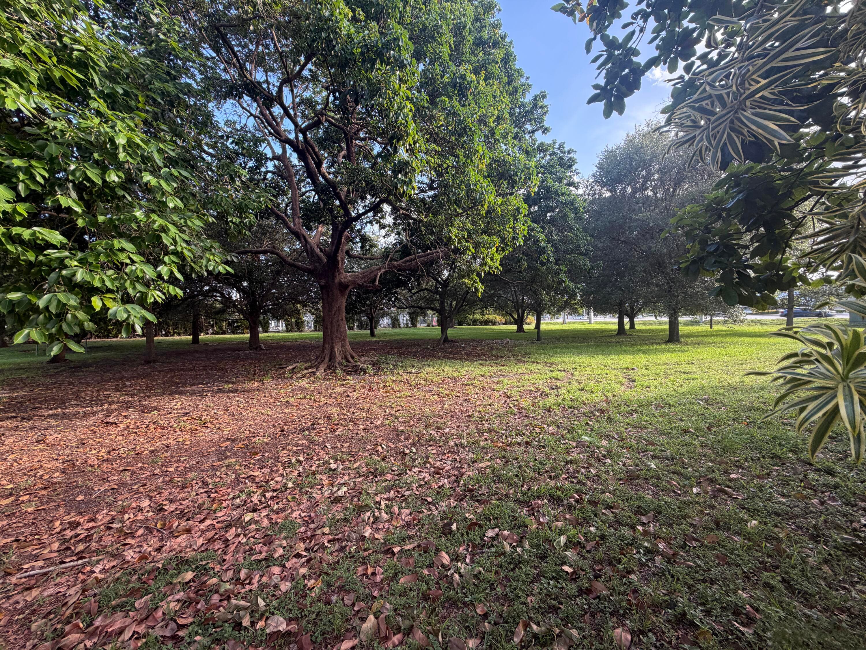 8700 NW 45th Court, Lauderhill, FL 33351 — photo 31 of 39