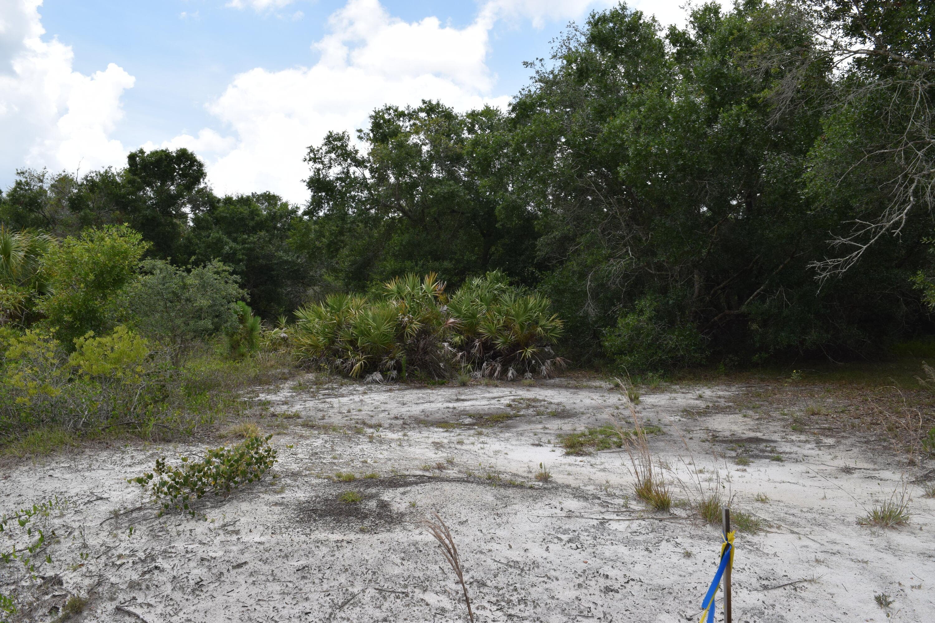 17119 NW 276th Street, Okeechobee, FL 34972 — photo 3 of 8