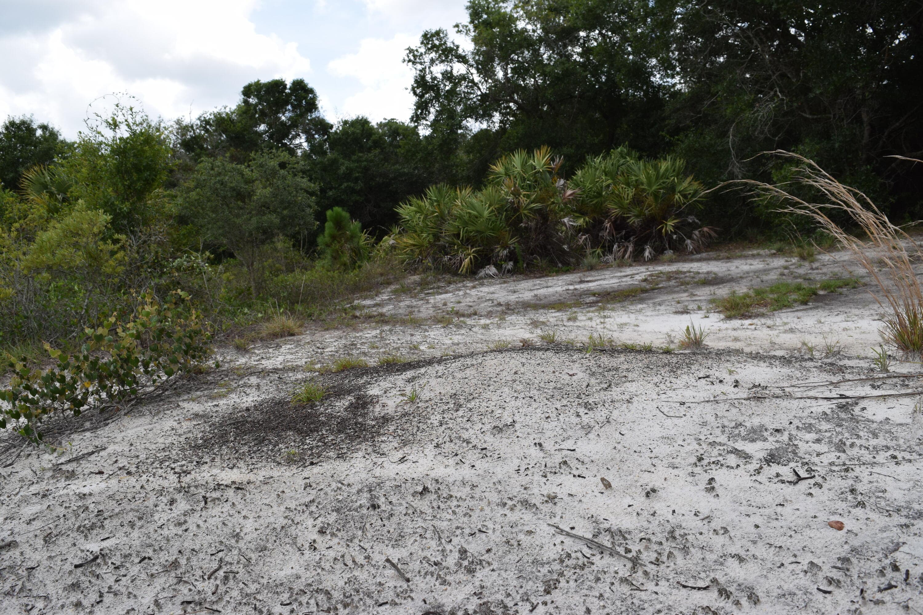 17119 NW 276th Street, Okeechobee, FL 34972 — photo 8 of 8