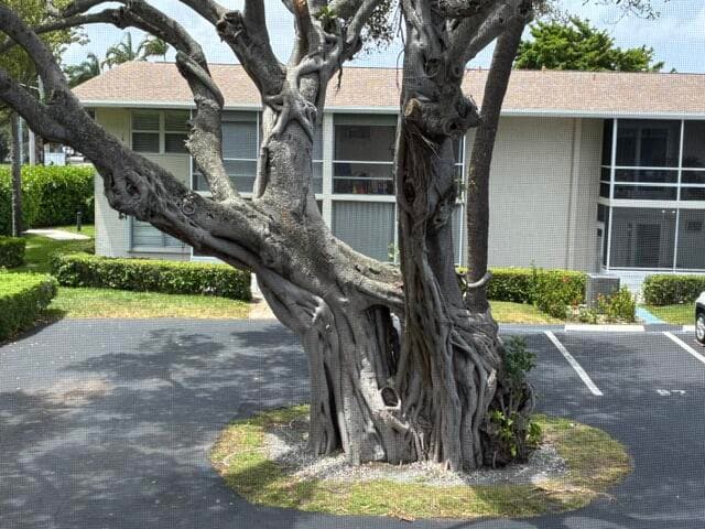 620 Horizon W 202, Boynton Beach, FL 33435 — photo 1 of 17