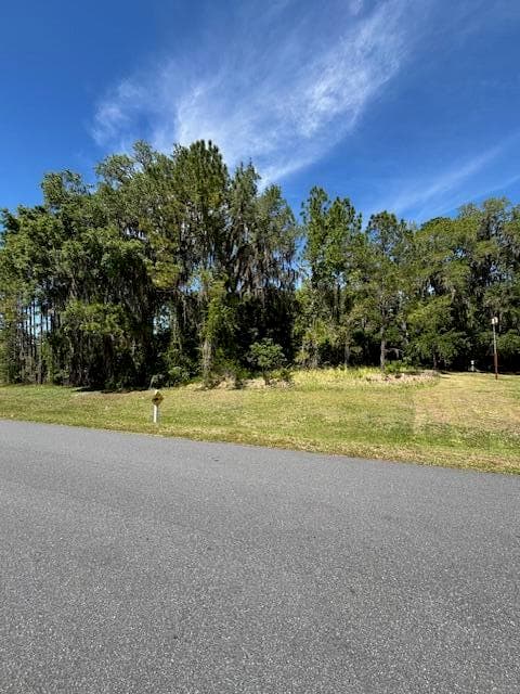 3303 N Canterbury Lake Drive, Hernando, FL 34442 — photo 3 of 7