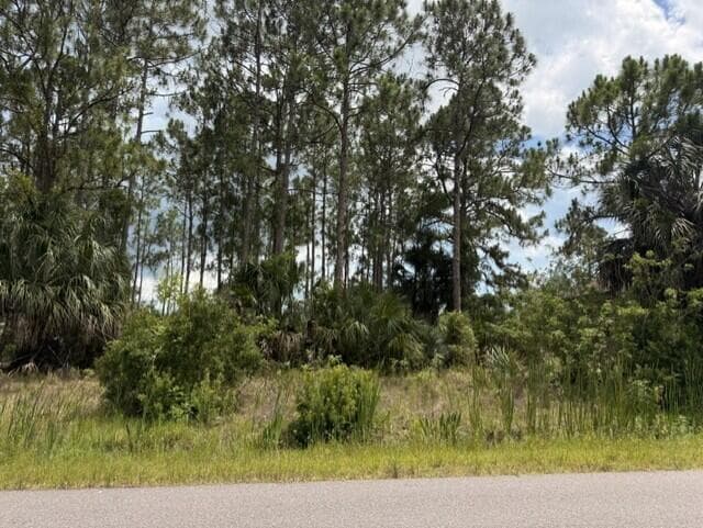 172 SW Lamar St Street, Palm Bay, FL 32908 — photo