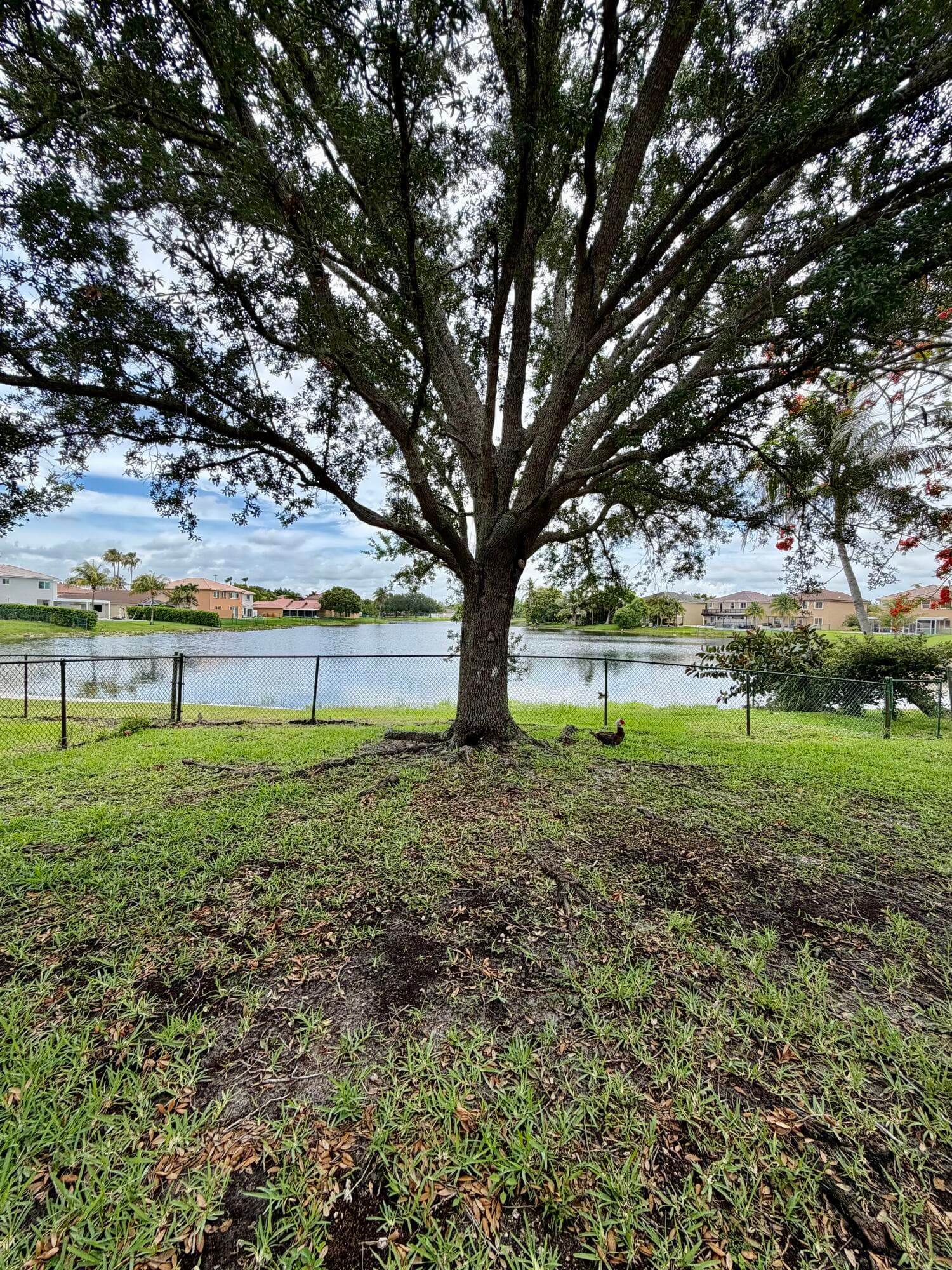 387 SW 206th Avenue 0, Pembroke Pines, FL 33029 — photo 23 of 24